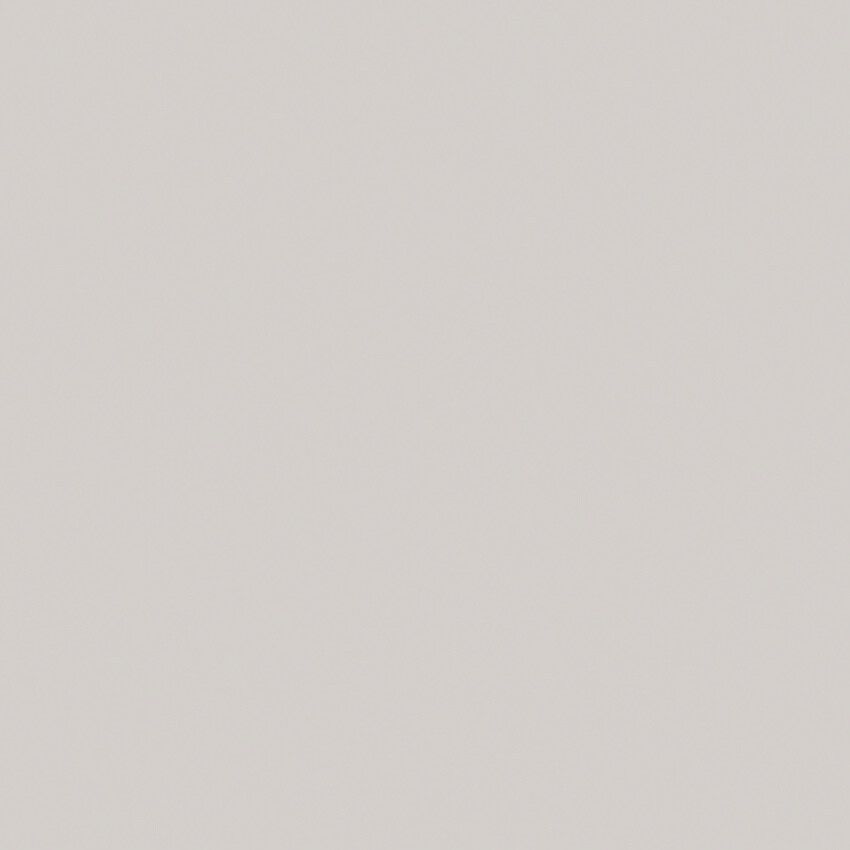 Seal Grey tapet enfärgad i grå. Från kollektionen Pigment. Nonwoven-material.