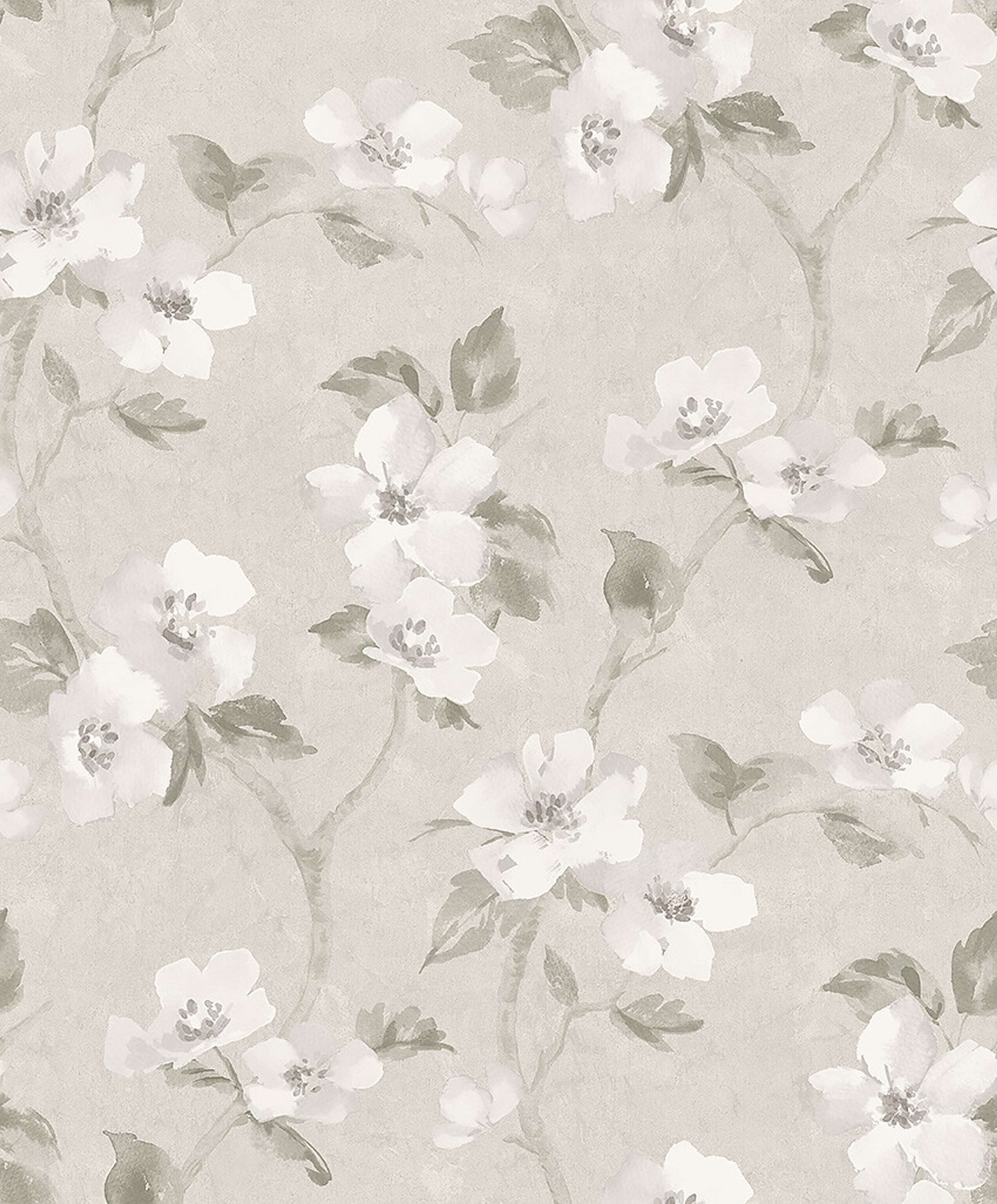 Helen´s Flower varm gråbeige botten tapet med botaniskt mönster i grå. Från kollektionen Cottage Garden. Nonwoven-material med rak passning. Country, city-stil. Passar i vardagsrum, matsal och hall.​​​​‌﻿‍﻿​‍​‍‌‍﻿﻿‌﻿​‍‌‍‍‌‌‍‌﻿‌‍‍‌‌‍﻿‍​‍​‍​﻿‍‍​‍​‍‌﻿​﻿‌‍​‌‌‍﻿‍‌‍‍‌‌﻿‌​‌﻿‍‌​‍﻿‍‌‍‍‌‌‍﻿﻿​‍​‍​‍﻿​​‍​‍‌‍‍​‌﻿​‍‌‍‌‌‌‍‌‍​‍​‍​﻿‍‍​‍​‍‌‍‍​‌﻿‌​‌﻿‌​‌﻿​​‌﻿​﻿​﻿‍‍​‍﻿﻿​‍﻿﻿‌﻿‌﻿‌﻿‌﻿‌﻿‌﻿​‍﻿‍‌‍​﻿‌‍﻿﻿‌‍﻿​‌‍﻿﻿‌﻿​‍‌‍​‌‌‍﻿‌‌‍​‌​‍﻿‍‌﻿​﻿‌‍‌‌​‍﻿﻿‌﻿​﻿‌﻿‌​‌﻿‌‌‌‍‌​‌‍‍‌‌‍﻿﻿​‍﻿﻿‌‍‍‌‌‍﻿‍‌﻿‌​‌‍‌‌‌‍﻿‍‌﻿‌​​‍﻿﻿‌‍‌‌‌‍‌​‌‍‍‌‌﻿‌​​‍﻿﻿‌‍﻿‌‌‍﻿﻿‌‍‌​‌‍‌‌​﻿﻿‌‌﻿​​‌﻿​‍‌‍‌‌‌﻿​﻿‌‍‌‌‌‍﻿‍‌﻿‌​‌‍​‌‌﻿‌​‌‍‍‌‌‍﻿﻿‌‍﻿‍​﻿‍﻿‌‍‍‌‌‍‌​​﻿﻿‌‌‍‍‌‌‍﻿‌‌‍​‌‌‍‌﻿‌‍‌‌​‍﻿‌​﻿‌‍​﻿‍‌​﻿‌​​﻿‌﻿‌‍‌‍​﻿‌‍‌‍​﻿​﻿‌​‌‍​‍​﻿‌﻿​﻿‌​​﻿‍​‌‍​﻿‌‍‌‍‌‍‌‍​﻿‌‍​﻿​‍​﻿‌﻿‌‍‌‌‌‍‌‍​﻿‌‍‌‍​﻿‌‍‌‌​﻿‌​​﻿‌‍​﻿​‍‌‍​﻿‌‍‌​​﻿‌‍​﻿‍​​﻿‌​​﻿​​‌‍‌‌‌‍‌​​﻿‍‌‌‍‌‌​﻿‌‍​﻿​‍​﻿‍​‌‍‌‌​‍﻿‌​﻿‍​​﻿‌‌​﻿​​‌﻿‍​​﻿​‌​﻿​​​﻿​‍​﻿‌﻿​‍﻿‌‌‍‍‍‌﻿​​‌‍‌﻿​﻿‍﻿‌﻿‌​‌﻿‍‌‌﻿​​‌‍‌‌​﻿﻿‌‌﻿​﻿‌‍​‌‌‍﻿‍‌‍‍‌‌﻿‌​‌﻿‍‌​‍﻿‍‌‍‍‌‌‍﻿‌‌‍​‌‌‍‌﻿‌‍‌‌‌​​‌‌﻿​﻿‌﻿​﻿‌‍‌‌‌﻿‌​​﻿‍﻿‌﻿​​‌‍​‌‌﻿‌​‌‍‍​​﻿﻿‌‌‍​‌‌‍﻿​‌﻿‌​‌‌‌​‌‍‌‌‌﻿‍​‌﻿‌​​﻿﻿﻿‌‍​‍‌‍​‌‌﻿​﻿‌‍‌‌‌‌‌‌‌﻿​‍‌‍﻿​​﻿﻿‌‌‍‍​‌﻿‌​‌﻿‌​‌﻿​​‌﻿​﻿​‍‌‌​﻿​﻿‌​​‌​‍‌‌​﻿​‍‌​‌‍​‍‌‌​﻿​‍‌​‌‍‌﻿‌﻿‌﻿‌﻿‌﻿‌﻿​‍﻿‍‌‍​﻿‌‍﻿﻿‌‍﻿​‌‍﻿﻿‌﻿​‍‌‍​‌‌‍﻿‌‌‍​‌​‍﻿‍‌﻿​﻿‌‍‌‌​‍‌‌​﻿​‍‌​‌‍‌﻿​﻿‌﻿‌​‌﻿‌‌‌‍‌​‌‍‍‌‌‍﻿﻿​‍‌‍‌‍‍‌‌‍‌​​﻿﻿‌‌‍‍‌‌‍﻿‌‌‍​‌‌‍‌﻿‌‍‌‌​‍﻿‌​﻿‌‍​﻿‍‌​﻿‌​​﻿‌﻿‌‍‌‍​﻿‌‍‌‍​﻿​﻿‌​‌‍​‍​﻿‌﻿​﻿‌​​﻿‍​‌‍​﻿‌‍‌‍‌‍‌‍​﻿‌‍​﻿​‍​﻿‌﻿‌‍‌‌‌‍‌‍​﻿‌‍‌‍​﻿‌‍‌‌​﻿‌​​﻿‌‍​﻿​‍‌‍​﻿‌‍‌​​﻿‌‍​﻿‍​​﻿‌​​﻿​​‌‍‌‌‌‍‌​​﻿‍‌‌‍‌‌​﻿‌‍​﻿​‍​﻿‍​‌‍‌‌​‍﻿‌​﻿‍​​﻿‌‌​﻿​​‌﻿‍​​﻿​‌​﻿​​​﻿​‍​﻿‌﻿​‍﻿‌‌‍‍‍‌﻿​​‌‍‌﻿​‍‌‍‌﻿‌​‌﻿‍‌‌﻿​​‌‍‌‌​﻿﻿‌‌﻿​﻿‌‍​‌‌‍﻿‍‌‍‍‌‌﻿‌​‌﻿‍‌​‍﻿‍‌‍‍‌‌‍﻿‌‌‍​‌‌‍‌﻿‌‍‌‌‌​​‌‌﻿​﻿‌﻿​﻿‌‍‌‌‌﻿‌​​‍‌‍‌﻿​​‌‍​‌‌﻿‌​‌‍‍​​﻿﻿‌‌‍​‌‌‍﻿​‌﻿‌​‌‌‌​‌‍‌‌‌﻿‍​‌﻿‌​​‍‌‍‌﻿​​‌‍‌‌‌﻿​‍‌﻿​﻿‌﻿​​‌‍‌‌‌‍​﻿‌﻿‌​‌‍‍‌‌﻿‌‍‌‍‌‌​﻿﻿‌‌﻿​​‌﻿‌‌‌‍​‍‌‍﻿​‌‍‍‌‌﻿​﻿‌‍‍​‌‍‌‌‌‍‌​​‍​‍‌﻿﻿‌