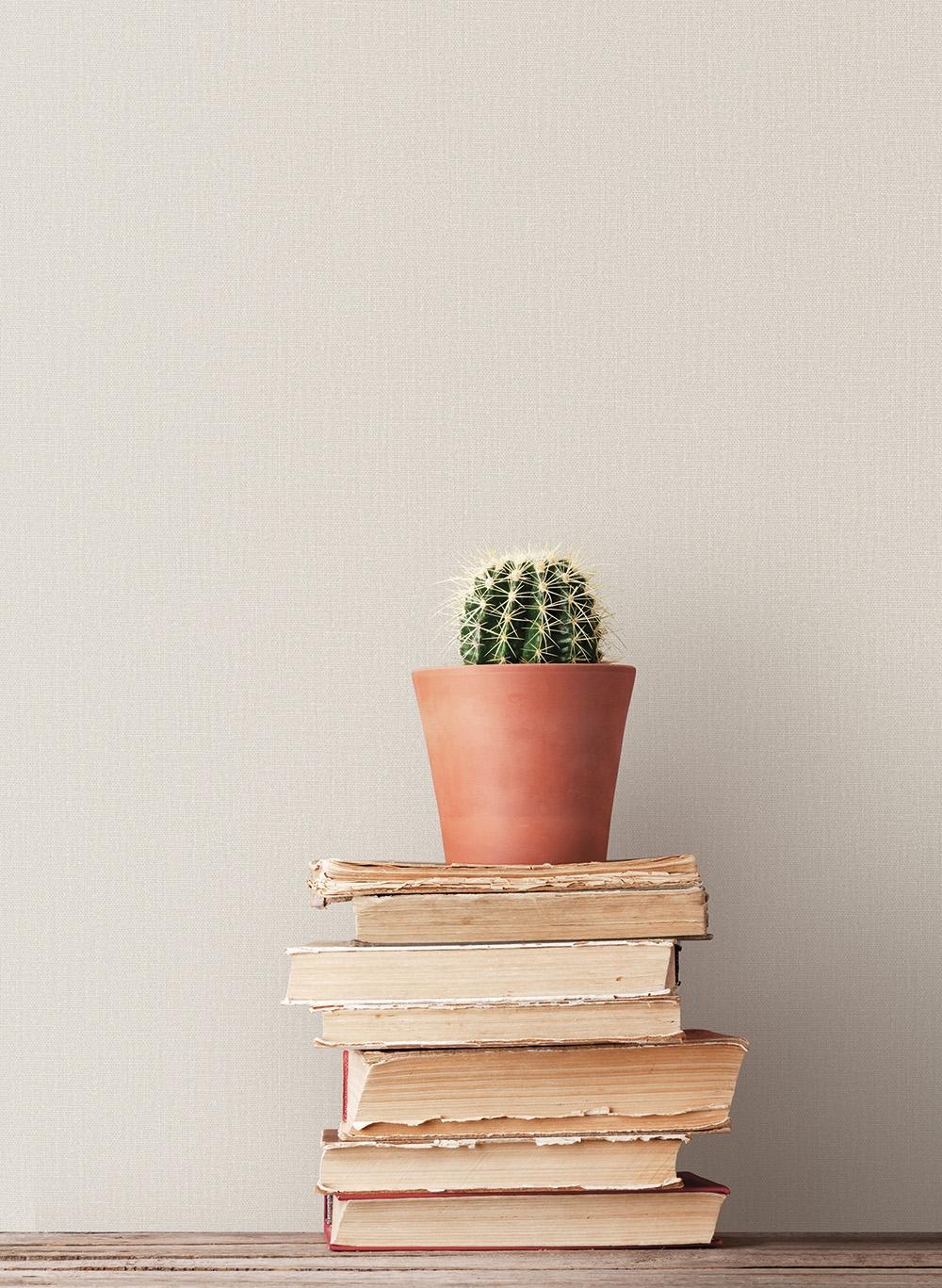 Hop Sack tapet i grå och beige tapet enfärgad i beige. Från kollektionen bazaar. Nonwoven-material med fri passning. Passar i vardagsrum och matsal.