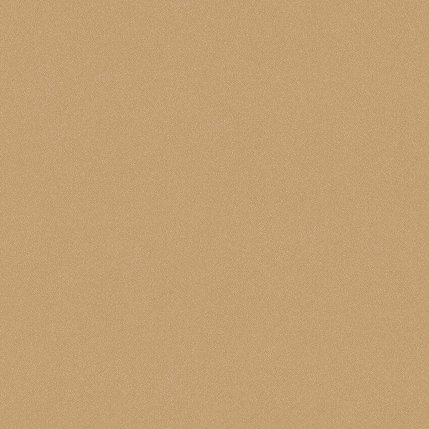 Desert Sand tapet enfärgad i brun. Från kollektionen Pigment. Nonwoven-material.