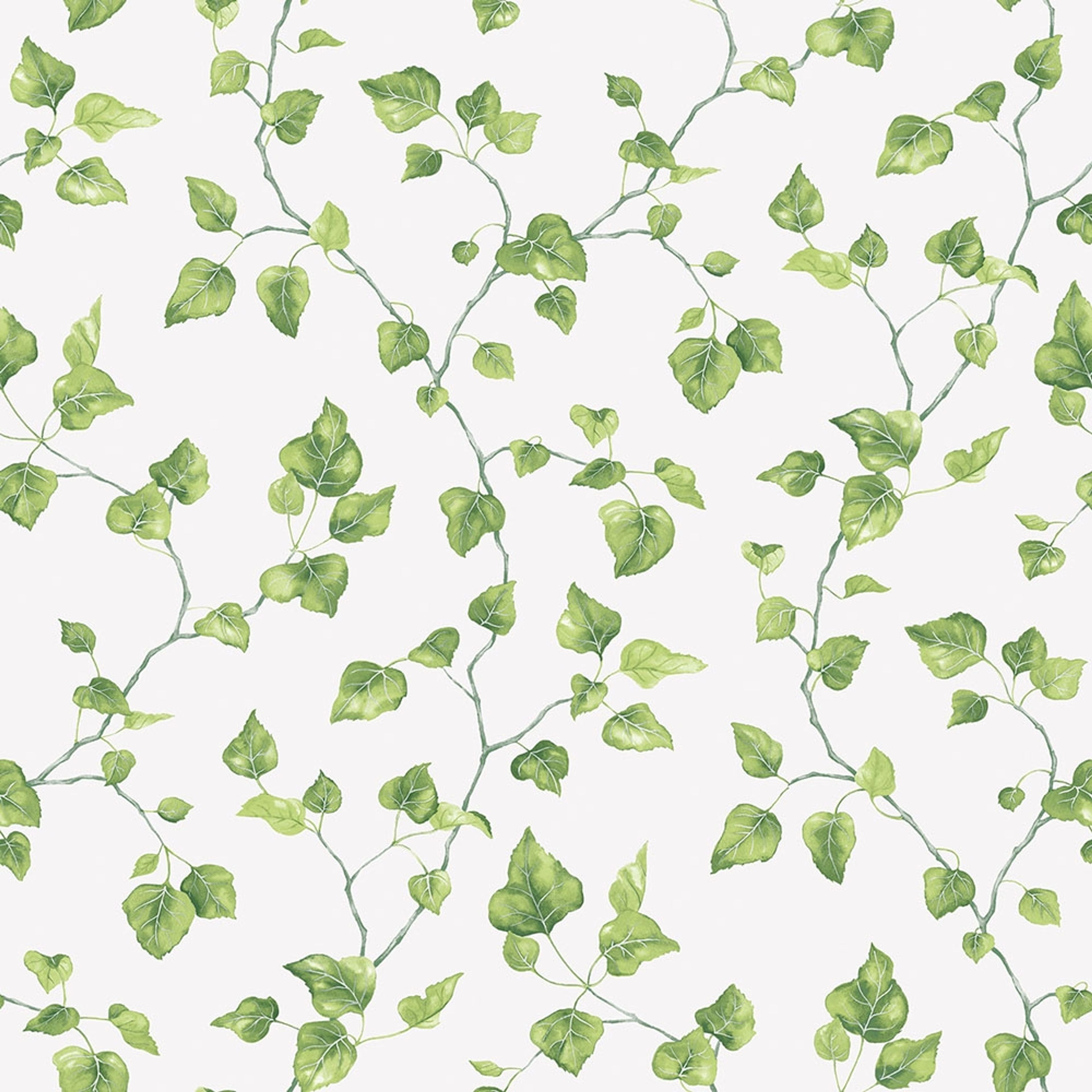 Just Ivy tapet med botaniskt mönster i vit och grön. Från kollektionen Just Kitchens. Nonwoven-material med rak passning.​​​​‌﻿‍﻿​‍​‍‌‍﻿﻿‌﻿​‍‌‍‍‌‌‍‌﻿‌‍‍‌‌‍﻿‍​‍​‍​﻿‍‍​‍​‍‌﻿​﻿‌‍​‌‌‍﻿‍‌‍‍‌‌﻿‌​‌﻿‍‌​‍﻿‍‌‍‍‌‌‍﻿﻿​‍​‍​‍﻿​​‍​‍‌‍‍​‌﻿​‍‌‍‌‌‌‍‌‍​‍​‍​﻿‍‍​‍​‍‌‍‍​‌﻿‌​‌﻿‌​‌﻿​​‌﻿​﻿​﻿‍‍​‍﻿﻿​‍﻿﻿‌﻿‌﻿‌﻿‌﻿‌﻿‌﻿​‍﻿‍‌‍​﻿‌‍﻿﻿‌‍﻿​‌‍﻿﻿‌﻿​‍‌‍​‌‌‍﻿‌‌‍​‌​‍﻿‍‌﻿​﻿‌‍‌‌​‍﻿﻿‌﻿​﻿‌﻿‌​‌﻿‌‌‌‍‌​‌‍‍‌‌‍﻿﻿​‍﻿﻿‌‍‍‌‌‍﻿‍‌﻿‌​‌‍‌‌‌‍﻿‍‌﻿‌​​‍﻿﻿‌‍‌‌‌‍‌​‌‍‍‌‌﻿‌​​‍﻿﻿‌‍﻿‌‌‍﻿﻿‌‍‌​‌‍‌‌​﻿﻿‌‌﻿​​‌﻿​‍‌‍‌‌‌﻿​﻿‌‍‌‌‌‍﻿‍‌﻿‌​‌‍​‌‌﻿‌​‌‍‍‌‌‍﻿﻿‌‍﻿‍​﻿‍﻿‌‍‍‌‌‍‌​​﻿﻿‌‌‍‍‌‌‍﻿‌‌‍​‌‌‍‌﻿‌‍‌‌​‍﻿‌​﻿‍‌​﻿​‌​﻿​‌‌‍​﻿​﻿‍​​﻿‌﻿​﻿‌‌​﻿​‌​﻿​​‌‍‌‍​﻿‍​‌‍​‌​﻿‌‌‌‍​﻿​﻿‌​‌‍‌‌‌‍‌​​﻿‍​‌‍‌​​﻿‌﻿‌‍‌‌​﻿‌﻿‌‍​‌‌‍‌‍​﻿‍​​﻿‍‌​﻿​‌​﻿‍​​﻿​‌‌‍​﻿‌‍‌‌‌‍​﻿​﻿​‌​﻿‌​‌‍‌‍​﻿‍​​﻿​﻿​﻿‌﻿​﻿​﻿​﻿‍‌​‍﻿‌​﻿​‌​﻿​​​﻿​​​﻿​​‌﻿‍​​﻿​‌​﻿​​​﻿​​​﻿​​​‍﻿‌‌‍‍‍‌﻿​​‌‍‌﻿​﻿‍﻿‌﻿‌​‌﻿‍‌‌﻿​​‌‍‌‌​﻿﻿‌‌﻿​﻿‌‍​‌‌‍﻿‍‌‍‍‌‌﻿‌​‌﻿‍‌​‍﻿‍‌‍‍‌‌‍﻿‌‌‍​‌‌‍‌﻿‌‍‌‌‌​​‌‌﻿​﻿‌﻿​﻿‌‍‌‌‌﻿‌​​﻿‍﻿‌﻿​​‌‍​‌‌﻿‌​‌‍‍​​﻿﻿‌‌‍​‌‌‍﻿​‌﻿‌​‌‌‌​‌‍‌‌‌﻿‍​‌﻿‌​​﻿﻿﻿‌‍​‍‌‍​‌‌﻿​﻿‌‍‌‌‌‌‌‌‌﻿​‍‌‍﻿​​﻿﻿‌‌‍‍​‌﻿‌​‌﻿‌​‌﻿​​‌﻿​﻿​‍‌‌​﻿​﻿‌​​‌​‍‌‌​﻿​‍‌​‌‍​‍‌‌​﻿​‍‌​‌‍‌﻿‌﻿‌﻿‌﻿‌﻿‌﻿​‍﻿‍‌‍​﻿‌‍﻿﻿‌‍﻿​‌‍﻿﻿‌﻿​‍‌‍​‌‌‍﻿‌‌‍​‌​‍﻿‍‌﻿​﻿‌‍‌‌​‍‌‌​﻿​‍‌​‌‍‌﻿​﻿‌﻿‌​‌﻿‌‌‌‍‌​‌‍‍‌‌‍﻿﻿​‍‌‍‌‍‍‌‌‍‌​​﻿﻿‌‌‍‍‌‌‍﻿‌‌‍​‌‌‍‌﻿‌‍‌‌​‍﻿‌​﻿‍‌​﻿​‌​﻿​‌‌‍​﻿​﻿‍​​﻿‌﻿​﻿‌‌​﻿​‌​﻿​​‌‍‌‍​﻿‍​‌‍​‌​﻿‌‌‌‍​﻿​﻿‌​‌‍‌‌‌‍‌​​﻿‍​‌‍‌​​﻿‌﻿‌‍‌‌​﻿‌﻿‌‍​‌‌‍‌‍​﻿‍​​﻿‍‌​﻿​‌​﻿‍​​﻿​‌‌‍​﻿‌‍‌‌‌‍​﻿​﻿​‌​﻿‌​‌‍‌‍​﻿‍​​﻿​﻿​﻿‌﻿​﻿​﻿​﻿‍‌​‍﻿‌​﻿​‌​﻿​​​﻿​​​﻿​​‌﻿‍​​﻿​‌​﻿​​​﻿​​​﻿​​​‍﻿‌‌‍‍‍‌﻿​​‌‍‌﻿​‍‌‍‌﻿‌​‌﻿‍‌‌﻿​​‌‍‌‌​﻿﻿‌‌﻿​﻿‌‍​‌‌‍﻿‍‌‍‍‌‌﻿‌​‌﻿‍‌​‍﻿‍‌‍‍‌‌‍﻿‌‌‍​‌‌‍‌﻿‌‍‌‌‌​​‌‌﻿​﻿‌﻿​﻿‌‍‌‌‌﻿‌​​‍‌‍‌﻿​​‌‍​‌‌﻿‌​‌‍‍​​﻿﻿‌‌‍​‌‌‍﻿​‌﻿‌​‌‌‌​‌‍‌‌‌﻿‍​‌﻿‌​​‍‌‍‌﻿​​‌‍‌‌‌﻿​‍‌﻿​﻿‌﻿​​‌‍‌‌‌‍​﻿‌﻿‌​‌‍‍‌‌﻿‌‍‌‍‌‌​﻿﻿‌‌﻿​​‌﻿‌‌‌‍​‍‌‍﻿​‌‍‍‌‌﻿​﻿‌‍‍​‌‍‌‌‌‍‌​​‍​‍‌﻿﻿‌