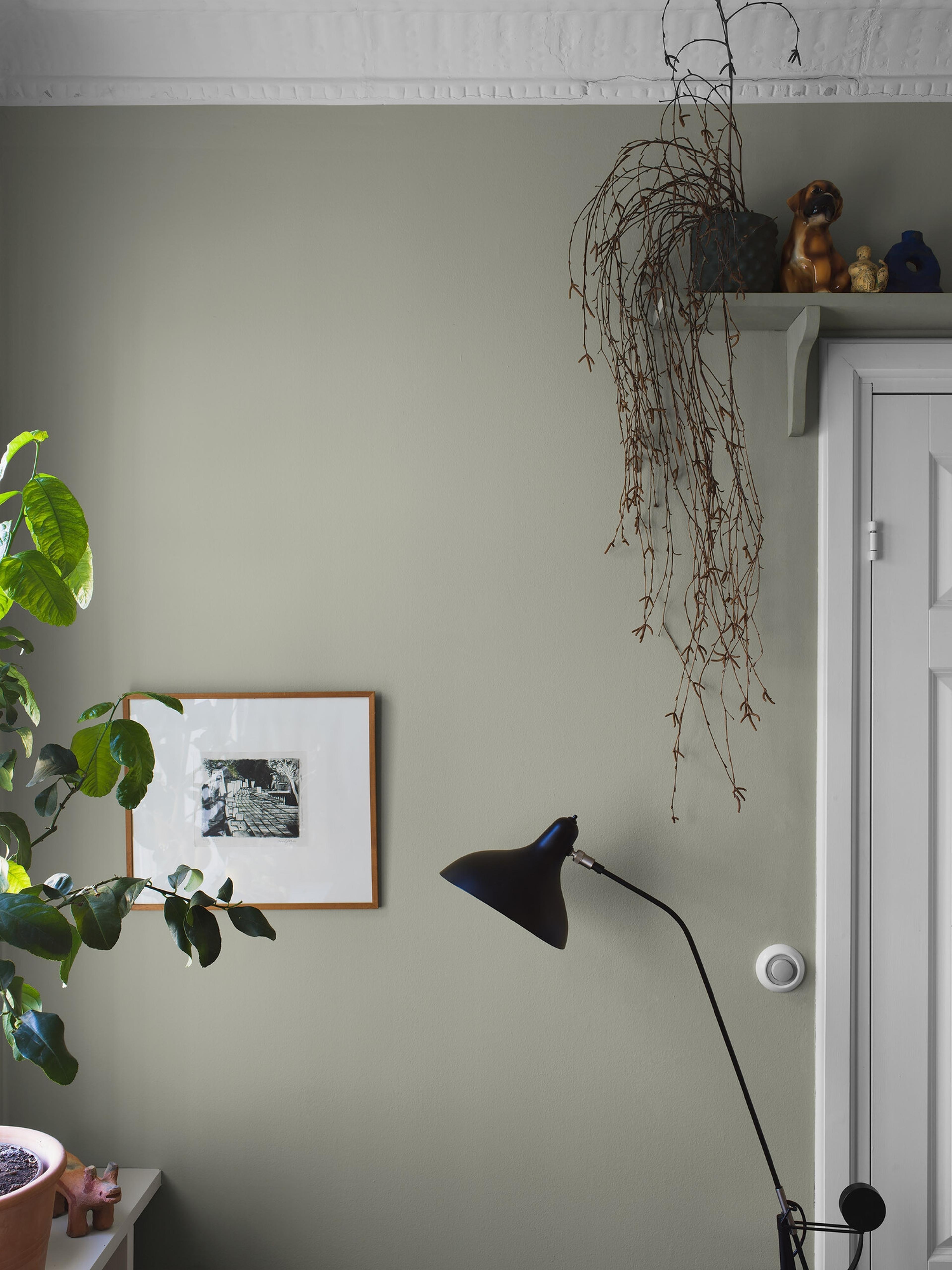 Linden Green tapet enfärgad i grön. Från kollektionen Pigment. Nonwoven-material.​​​​‌﻿‍﻿​‍​‍‌‍﻿﻿‌﻿​‍‌‍‍‌‌‍‌﻿‌‍‍‌‌‍﻿‍​‍​‍​﻿‍‍​‍​‍‌﻿​﻿‌‍​‌‌‍﻿‍‌‍‍‌‌﻿‌​‌﻿‍‌​‍﻿‍‌‍‍‌‌‍﻿﻿​‍​‍​‍﻿​​‍​‍‌‍‍​‌﻿​‍‌‍‌‌‌‍‌‍​‍​‍​﻿‍‍​‍​‍‌‍‍​‌﻿‌​‌﻿‌​‌﻿​​‌﻿​﻿​﻿‍‍​‍﻿﻿​‍﻿﻿‌﻿‌﻿‌﻿‌﻿‌﻿‌﻿​‍﻿‍‌‍​﻿‌‍﻿﻿‌‍﻿​‌‍﻿﻿‌﻿​‍‌‍​‌‌‍﻿‌‌‍​‌​‍﻿‍‌﻿​﻿‌‍‌‌​‍﻿﻿‌﻿​﻿‌﻿‌​‌﻿‌‌‌‍‌​‌‍‍‌‌‍﻿﻿​‍﻿﻿‌‍‍‌‌‍﻿‍‌﻿‌​‌‍‌‌‌‍﻿‍‌﻿‌​​‍﻿﻿‌‍‌‌‌‍‌​‌‍‍‌‌﻿‌​​‍﻿﻿‌‍﻿‌‌‍﻿﻿‌‍‌​‌‍‌‌​﻿﻿‌‌﻿​​‌﻿​‍‌‍‌‌‌﻿​﻿‌‍‌‌‌‍﻿‍‌﻿‌​‌‍​‌‌﻿‌​‌‍‍‌‌‍﻿﻿‌‍﻿‍​﻿‍﻿‌‍‍‌‌‍‌​​﻿﻿‌‌‍‍‌‌‍﻿‌‌‍​‌‌‍‌﻿‌‍‌‌​‍﻿‌‌‍​‌​﻿‌‌‌‍​﻿​﻿​﻿​﻿‌​​﻿‌​‌‍‌‌​﻿​‍​﻿​‌‌‍​‌​﻿​‍‌‍​‍‌‍‌‍‌‍‌​​﻿‌‍‌‍‌‍‌‍‌‍‌‍‌​​﻿‌﻿​﻿​​​﻿‌​​﻿‍‌​﻿​﻿​﻿​‍​﻿‍‌​﻿​‍‌‍‌‍‌‍​‍​﻿‌﻿​﻿‌‍​﻿​‍​﻿​﻿​﻿​‍​﻿​‍‌‍​‍​﻿‌​​﻿​‍‌‍‌​​﻿​﻿​﻿​‍​‍﻿‌​﻿​‌​﻿‌‌​﻿​​​﻿​​‌﻿‍​​﻿​‍​﻿​​​﻿​​​﻿​​​‍﻿‌‌‍‍‍‌﻿​​‌‍‌﻿​﻿‍﻿‌﻿‌​‌﻿‍‌‌﻿​​‌‍‌‌​﻿﻿‌‌﻿​﻿‌‍​‌‌‍﻿‍‌‍‍‌‌﻿‌​‌﻿‍‌​‍﻿‍‌‍‍‌‌‍﻿‌‌‍​‌‌‍‌﻿‌‍‌‌‌​​‌‌﻿​﻿‌﻿​﻿‌‍‌‌‌﻿‌​​﻿‍﻿‌﻿​​‌‍​‌‌﻿‌​‌‍‍​​﻿﻿‌‌‍​‌‌‍﻿​‌﻿‌​‌‌‌​‌‍‌‌‌﻿‍​‌﻿‌​​﻿﻿﻿‌‍​‍‌‍​‌‌﻿​﻿‌‍‌‌‌‌‌‌‌﻿​‍‌‍﻿​​﻿﻿‌‌‍‍​‌﻿‌​‌﻿‌​‌﻿​​‌﻿​﻿​‍‌‌​﻿​﻿‌​​‌​‍‌‌​﻿​‍‌​‌‍​‍‌‌​﻿​‍‌​‌‍‌﻿‌﻿‌﻿‌﻿‌﻿‌﻿​‍﻿‍‌‍​﻿‌‍﻿﻿‌‍﻿​‌‍﻿﻿‌﻿​‍‌‍​‌‌‍﻿‌‌‍​‌​‍﻿‍‌﻿​﻿‌‍‌‌​‍‌‌​﻿​‍‌​‌‍‌﻿​﻿‌﻿‌​‌﻿‌‌‌‍‌​‌‍‍‌‌‍﻿﻿​‍‌‍‌‍‍‌‌‍‌​​﻿﻿‌‌‍‍‌‌‍﻿‌‌‍​‌‌‍‌﻿‌‍‌‌​‍﻿‌‌‍​‌​﻿‌‌‌‍​﻿​﻿​﻿​﻿‌​​﻿‌​‌‍‌‌​﻿​‍​﻿​‌‌‍​‌​﻿​‍‌‍​‍‌‍‌‍‌‍‌​​﻿‌‍‌‍‌‍‌‍‌‍‌‍‌​​﻿‌﻿​﻿​​​﻿‌​​﻿‍‌​﻿​﻿​﻿​‍​﻿‍‌​﻿​‍‌‍‌‍‌‍​‍​﻿‌﻿​﻿‌‍​﻿​‍​﻿​﻿​﻿​‍​﻿​‍‌‍​‍​﻿‌​​﻿​‍‌‍‌​​﻿​﻿​﻿​‍​‍﻿‌​﻿​‌​﻿‌‌​﻿​​​﻿​​‌﻿‍​​﻿​‍​﻿​​​﻿​​​﻿​​​‍﻿‌‌‍‍‍‌﻿​​‌‍‌﻿​‍‌‍‌﻿‌​‌﻿‍‌‌﻿​​‌‍‌‌​﻿﻿‌‌﻿​﻿‌‍​‌‌‍﻿‍‌‍‍‌‌﻿‌​‌﻿‍‌​‍﻿‍‌‍‍‌‌‍﻿‌‌‍​‌‌‍‌﻿‌‍‌‌‌​​‌‌﻿​﻿‌﻿​﻿‌‍‌‌‌﻿‌​​‍‌‍‌﻿​​‌‍​‌‌﻿‌​‌‍‍​​﻿﻿‌‌‍​‌‌‍﻿​‌﻿‌​‌‌‌​‌‍‌‌‌﻿‍​‌﻿‌​​‍‌‍‌﻿​​‌‍‌‌‌﻿​‍‌﻿​﻿‌﻿​​‌‍‌‌‌‍​﻿‌﻿‌​‌‍‍‌‌﻿‌‍‌‍‌‌​﻿﻿‌‌﻿​​‌﻿‌‌‌‍​‍‌‍﻿​‌‍‍‌‌﻿​﻿‌‍‍​‌‍‌‌‌‍‌​​‍​‍‌﻿﻿‌