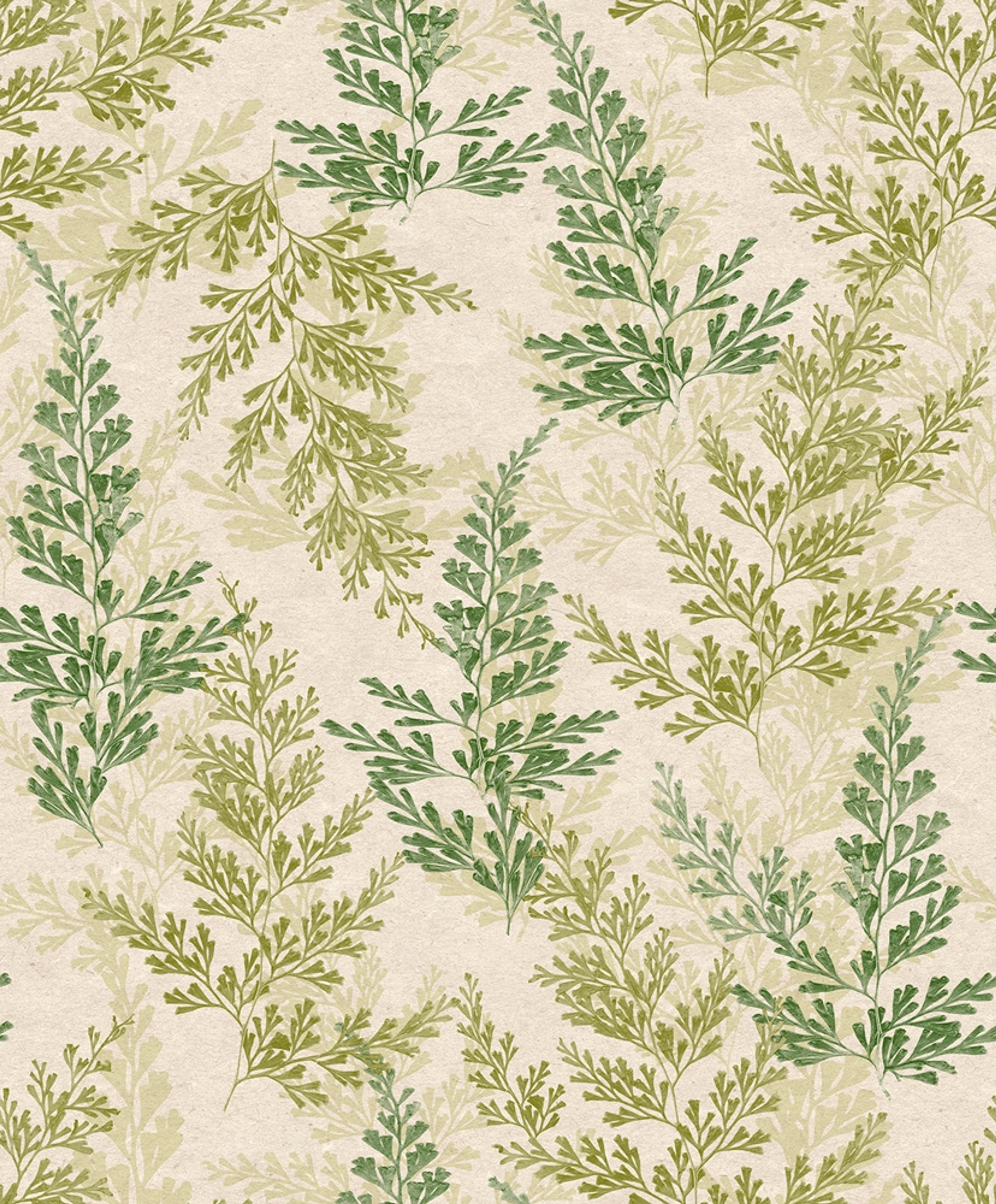 Wild herbs grön, tapet tapet med botaniskt mönster i beige. Från kollektionen Herbarium. Nonwoven-material med rak passning.​​​​‌﻿‍﻿​‍​‍‌‍﻿﻿‌﻿​‍‌‍‍‌‌‍‌﻿‌‍‍‌‌‍﻿‍​‍​‍​﻿‍‍​‍​‍‌﻿​﻿‌‍​‌‌‍﻿‍‌‍‍‌‌﻿‌​‌﻿‍‌​‍﻿‍‌‍‍‌‌‍﻿﻿​‍​‍​‍﻿​​‍​‍‌‍‍​‌﻿​‍‌‍‌‌‌‍‌‍​‍​‍​﻿‍‍​‍​‍‌‍‍​‌﻿‌​‌﻿‌​‌﻿​​‌﻿​﻿​﻿‍‍​‍﻿﻿​‍﻿﻿‌﻿‌﻿‌﻿‌﻿‌﻿‌﻿​‍﻿‍‌‍​﻿‌‍﻿﻿‌‍﻿​‌‍﻿﻿‌﻿​‍‌‍​‌‌‍﻿‌‌‍​‌​‍﻿‍‌﻿​﻿‌‍‌‌​‍﻿﻿‌﻿​﻿‌﻿‌​‌﻿‌‌‌‍‌​‌‍‍‌‌‍﻿﻿​‍﻿﻿‌‍‍‌‌‍﻿‍‌﻿‌​‌‍‌‌‌‍﻿‍‌﻿‌​​‍﻿﻿‌‍‌‌‌‍‌​‌‍‍‌‌﻿‌​​‍﻿﻿‌‍﻿‌‌‍﻿﻿‌‍‌​‌‍‌‌​﻿﻿‌‌﻿​​‌﻿​‍‌‍‌‌‌﻿​﻿‌‍‌‌‌‍﻿‍‌﻿‌​‌‍​‌‌﻿‌​‌‍‍‌‌‍﻿﻿‌‍﻿‍​﻿‍﻿‌‍‍‌‌‍‌​​﻿﻿‌‌‍‍‌‌‍﻿‌‌‍​‌‌‍‌﻿‌‍‌‌​‍﻿‌‌‍​‌​﻿‍‌‌‍‌‍‌‍‌​​﻿‌​​﻿‌﻿​﻿‍‌‌‍‌​‌‍‌​​﻿​​​﻿‌​‌‍‌‍​﻿​‍​﻿‌‍​﻿‌﻿​﻿‌‌​﻿​​​﻿​‍‌‍‌‍​﻿​﻿‌‍​﻿​﻿​​​﻿‍​‌‍‌‍​﻿‍‌​﻿​‌​﻿‌‍‌‍‌‌​﻿‌‌​﻿‍​​﻿‌‍​﻿​‍​﻿​‌​﻿‌‌​﻿​‌‌‍​‍​﻿‍​​﻿‌‌‌‍​‍​﻿‌‌​‍﻿‌​﻿‍​​﻿​‍​﻿‍​‌﻿‍​​﻿​‌​﻿​​​﻿​​​﻿​​​‍﻿‌‌‍‍‍‌﻿​​‌‍‌﻿​﻿‍﻿‌﻿‌​‌﻿‍‌‌﻿​​‌‍‌‌​﻿﻿‌‌﻿​﻿‌‍​‌‌‍﻿‍‌‍‍‌‌﻿‌​‌﻿‍‌​‍﻿‍‌‍‍‌‌‍﻿‌‌‍​‌‌‍‌﻿‌‍‌‌‌​​‌‌﻿​﻿‌﻿​﻿‌‍‌‌‌﻿‌​​﻿‍﻿‌﻿​​‌‍​‌‌﻿‌​‌‍‍​​﻿﻿‌‌‍​‌‌‍﻿​‌﻿‌​‌‌‌​‌‍‌‌‌﻿‍​‌﻿‌​​﻿﻿﻿‌‍​‍‌‍​‌‌﻿​﻿‌‍‌‌‌‌‌‌‌﻿​‍‌‍﻿​​﻿﻿‌‌‍‍​‌﻿‌​‌﻿‌​‌﻿​​‌﻿​﻿​‍‌‌​﻿​﻿‌​​‌​‍‌‌​﻿​‍‌​‌‍​‍‌‌​﻿​‍‌​‌‍‌﻿‌﻿‌﻿‌﻿‌﻿‌﻿​‍﻿‍‌‍​﻿‌‍﻿﻿‌‍﻿​‌‍﻿﻿‌﻿​‍‌‍​‌‌‍﻿‌‌‍​‌​‍﻿‍‌﻿​﻿‌‍‌‌​‍‌‌​﻿​‍‌​‌‍‌﻿​﻿‌﻿‌​‌﻿‌‌‌‍‌​‌‍‍‌‌‍﻿﻿​‍‌‍‌‍‍‌‌‍‌​​﻿﻿‌‌‍‍‌‌‍﻿‌‌‍​‌‌‍‌﻿‌‍‌‌​‍﻿‌‌‍​‌​﻿‍‌‌‍‌‍‌‍‌​​﻿‌​​﻿‌﻿​﻿‍‌‌‍‌​‌‍‌​​﻿​​​﻿‌​‌‍‌‍​﻿​‍​﻿‌‍​﻿‌﻿​﻿‌‌​﻿​​​﻿​‍‌‍‌‍​﻿​﻿‌‍​﻿​﻿​​​﻿‍​‌‍‌‍​﻿‍‌​﻿​‌​﻿‌‍‌‍‌‌​﻿‌‌​﻿‍​​﻿‌‍​﻿​‍​﻿​‌​﻿‌‌​﻿​‌‌‍​‍​﻿‍​​﻿‌‌‌‍​‍​﻿‌‌​‍﻿‌​﻿‍​​﻿​‍​﻿‍​‌﻿‍​​﻿​‌​﻿​​​﻿​​​﻿​​​‍﻿‌‌‍‍‍‌﻿​​‌‍‌﻿​‍‌‍‌﻿‌​‌﻿‍‌‌﻿​​‌‍‌‌​﻿﻿‌‌﻿​﻿‌‍​‌‌‍﻿‍‌‍‍‌‌﻿‌​‌﻿‍‌​‍﻿‍‌‍‍‌‌‍﻿‌‌‍​‌‌‍‌﻿‌‍‌‌‌​​‌‌﻿​﻿‌﻿​﻿‌‍‌‌‌﻿‌​​‍‌‍‌﻿​​‌‍​‌‌﻿‌​‌‍‍​​﻿﻿‌‌‍​‌‌‍﻿​‌﻿‌​‌‌‌​‌‍‌‌‌﻿‍​‌﻿‌​​‍‌‍‌﻿​​‌‍‌‌‌﻿​‍‌﻿​﻿‌﻿​​‌‍‌‌‌‍​﻿‌﻿‌​‌‍‍‌‌﻿‌‍‌‍‌‌​﻿﻿‌‌﻿​​‌﻿‌‌‌‍​‍‌‍﻿​‌‍‍‌‌﻿​﻿‌‍‍​‌‍‌‌‌‍‌​​‍​‍‌﻿﻿‌