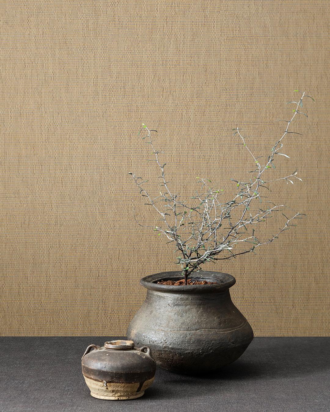 Inspire tapet enfärgad i beige. Från kollektionen Inspire. Nonwoven-material.