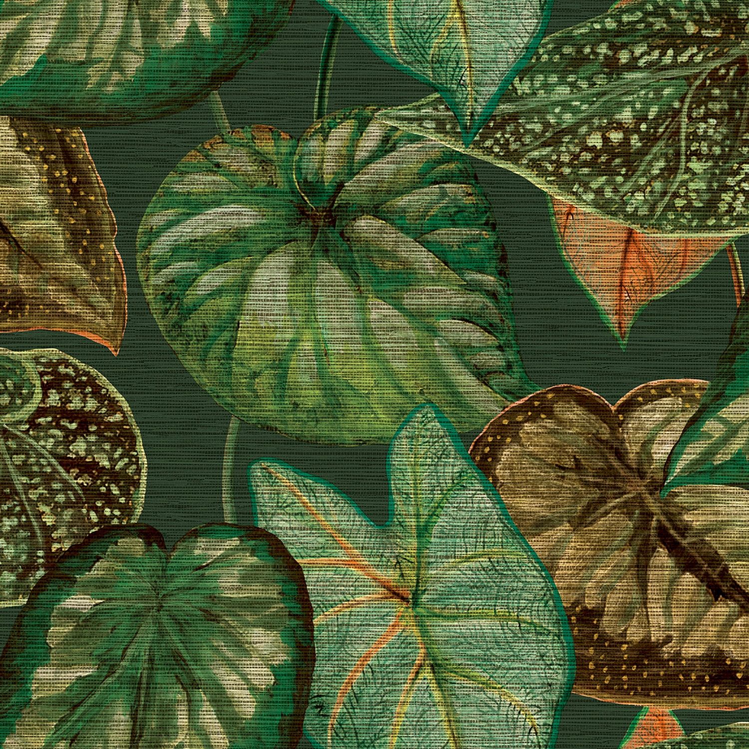Tropical Leaves tapet med botaniskt mönster i grön. Från kollektionen Tahiti. Nonwoven-material med förskjuten passning. Passar i vardagsrum, matsal och hall.