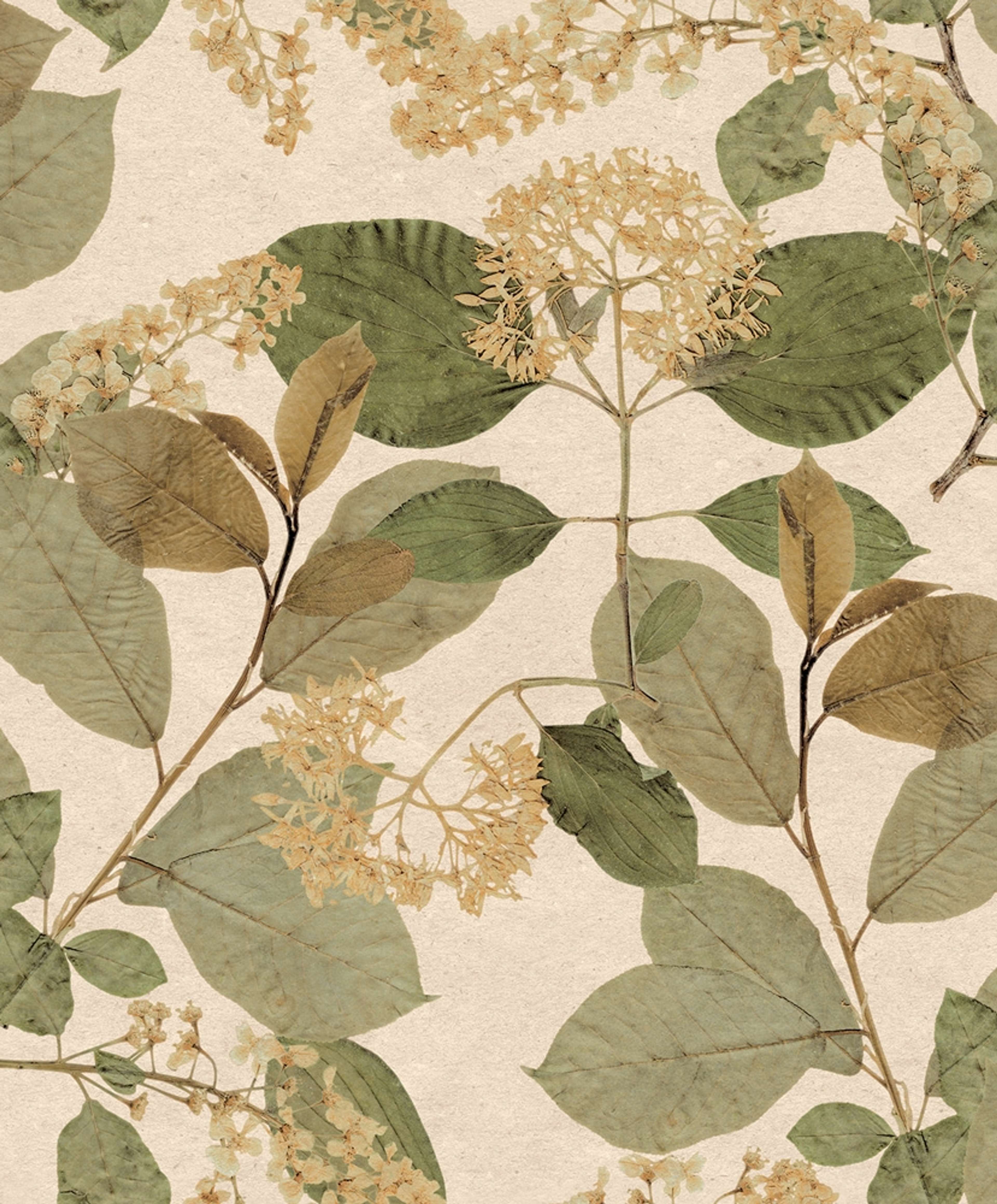 Castanum beige, tapet tapet med botaniskt mönster i beige. Från kollektionen Herbarium. Nonwoven-material med förskjuten passning.​​​​‌﻿‍﻿​‍​‍‌‍﻿﻿‌﻿​‍‌‍‍‌‌‍‌﻿‌‍‍‌‌‍﻿‍​‍​‍​﻿‍‍​‍​‍‌﻿​﻿‌‍​‌‌‍﻿‍‌‍‍‌‌﻿‌​‌﻿‍‌​‍﻿‍‌‍‍‌‌‍﻿﻿​‍​‍​‍﻿​​‍​‍‌‍‍​‌﻿​‍‌‍‌‌‌‍‌‍​‍​‍​﻿‍‍​‍​‍‌‍‍​‌﻿‌​‌﻿‌​‌﻿​​‌﻿​﻿​﻿‍‍​‍﻿﻿​‍﻿﻿‌﻿‌﻿‌﻿‌﻿‌﻿‌﻿​‍﻿‍‌‍​﻿‌‍﻿﻿‌‍﻿​‌‍﻿﻿‌﻿​‍‌‍​‌‌‍﻿‌‌‍​‌​‍﻿‍‌﻿​﻿‌‍‌‌​‍﻿﻿‌﻿​﻿‌﻿‌​‌﻿‌‌‌‍‌​‌‍‍‌‌‍﻿﻿​‍﻿﻿‌‍‍‌‌‍﻿‍‌﻿‌​‌‍‌‌‌‍﻿‍‌﻿‌​​‍﻿﻿‌‍‌‌‌‍‌​‌‍‍‌‌﻿‌​​‍﻿﻿‌‍﻿‌‌‍﻿﻿‌‍‌​‌‍‌‌​﻿﻿‌‌﻿​​‌﻿​‍‌‍‌‌‌﻿​﻿‌‍‌‌‌‍﻿‍‌﻿‌​‌‍​‌‌﻿‌​‌‍‍‌‌‍﻿﻿‌‍﻿‍​﻿‍﻿‌‍‍‌‌‍‌​​﻿﻿‌‌‍‍‌‌‍﻿‌‌‍​‌‌‍‌﻿‌‍‌‌​‍﻿‌‌‍​﻿​﻿​﻿​﻿​‍​﻿‌​‌‍‌‍‌‍​‌​﻿​‍​﻿‍‌​﻿‍​​﻿​﻿​﻿‍​‌‍​﻿​﻿‌﻿​﻿‍​​﻿​​‌‍‌‍​﻿‍​‌‍‌‍​﻿‍​​﻿​​‌‍‌‌‌‍‌‌​﻿​​​﻿​‍​﻿‌‍​﻿​‍​﻿​​​﻿‍​​﻿‍‌​﻿​‌‌‍​‍​﻿​﻿​﻿‌﻿​﻿​‌​﻿‌​‌‍​﻿‌‍‌​​﻿‍​‌‍‌​​﻿‌﻿​‍﻿‌​﻿‍​​﻿​‍​﻿‍​‌﻿‍​​﻿​‌​﻿​​​﻿​​​﻿​​​‍﻿‌‌‍‍‍‌﻿​​‌‍‌﻿​﻿‍﻿‌﻿‌​‌﻿‍‌‌﻿​​‌‍‌‌​﻿﻿‌‌﻿​﻿‌‍​‌‌‍﻿‍‌‍‍‌‌﻿‌​‌﻿‍‌​‍﻿‍‌‍‍‌‌‍﻿‌‌‍​‌‌‍‌﻿‌‍‌‌‌​​‌‌﻿​﻿‌﻿​﻿‌‍‌‌‌﻿‌​​﻿‍﻿‌﻿​​‌‍​‌‌﻿‌​‌‍‍​​﻿﻿‌‌‍​‌‌‍﻿​‌﻿‌​‌‌‌​‌‍‌‌‌﻿‍​‌﻿‌​​﻿﻿﻿‌‍​‍‌‍​‌‌﻿​﻿‌‍‌‌‌‌‌‌‌﻿​‍‌‍﻿​​﻿﻿‌‌‍‍​‌﻿‌​‌﻿‌​‌﻿​​‌﻿​﻿​‍‌‌​﻿​﻿‌​​‌​‍‌‌​﻿​‍‌​‌‍​‍‌‌​﻿​‍‌​‌‍‌﻿‌﻿‌﻿‌﻿‌﻿‌﻿​‍﻿‍‌‍​﻿‌‍﻿﻿‌‍﻿​‌‍﻿﻿‌﻿​‍‌‍​‌‌‍﻿‌‌‍​‌​‍﻿‍‌﻿​﻿‌‍‌‌​‍‌‌​﻿​‍‌​‌‍‌﻿​﻿‌﻿‌​‌﻿‌‌‌‍‌​‌‍‍‌‌‍﻿﻿​‍‌‍‌‍‍‌‌‍‌​​﻿﻿‌‌‍‍‌‌‍﻿‌‌‍​‌‌‍‌﻿‌‍‌‌​‍﻿‌‌‍​﻿​﻿​﻿​﻿​‍​﻿‌​‌‍‌‍‌‍​‌​﻿​‍​﻿‍‌​﻿‍​​﻿​﻿​﻿‍​‌‍​﻿​﻿‌﻿​﻿‍​​﻿​​‌‍‌‍​﻿‍​‌‍‌‍​﻿‍​​﻿​​‌‍‌‌‌‍‌‌​﻿​​​﻿​‍​﻿‌‍​﻿​‍​﻿​​​﻿‍​​﻿‍‌​﻿​‌‌‍​‍​﻿​﻿​﻿‌﻿​﻿​‌​﻿‌​‌‍​﻿‌‍‌​​﻿‍​‌‍‌​​﻿‌﻿​‍﻿‌​﻿‍​​﻿​‍​﻿‍​‌﻿‍​​﻿​‌​﻿​​​﻿​​​﻿​​​‍﻿‌‌‍‍‍‌﻿​​‌‍‌﻿​‍‌‍‌﻿‌​‌﻿‍‌‌﻿​​‌‍‌‌​﻿﻿‌‌﻿​﻿‌‍​‌‌‍﻿‍‌‍‍‌‌﻿‌​‌﻿‍‌​‍﻿‍‌‍‍‌‌‍﻿‌‌‍​‌‌‍‌﻿‌‍‌‌‌​​‌‌﻿​﻿‌﻿​﻿‌‍‌‌‌﻿‌​​‍‌‍‌﻿​​‌‍​‌‌﻿‌​‌‍‍​​﻿﻿‌‌‍​‌‌‍﻿​‌﻿‌​‌‌‌​‌‍‌‌‌﻿‍​‌﻿‌​​‍‌‍‌﻿​​‌‍‌‌‌﻿​‍‌﻿​﻿‌﻿​​‌‍‌‌‌‍​﻿‌﻿‌​‌‍‍‌‌﻿‌‍‌‍‌‌​﻿﻿‌‌﻿​​‌﻿‌‌‌‍​‍‌‍﻿​‌‍‍‌‌﻿​﻿‌‍‍​‌‍‌‌‌‍‌​​‍​‍‌﻿﻿‌