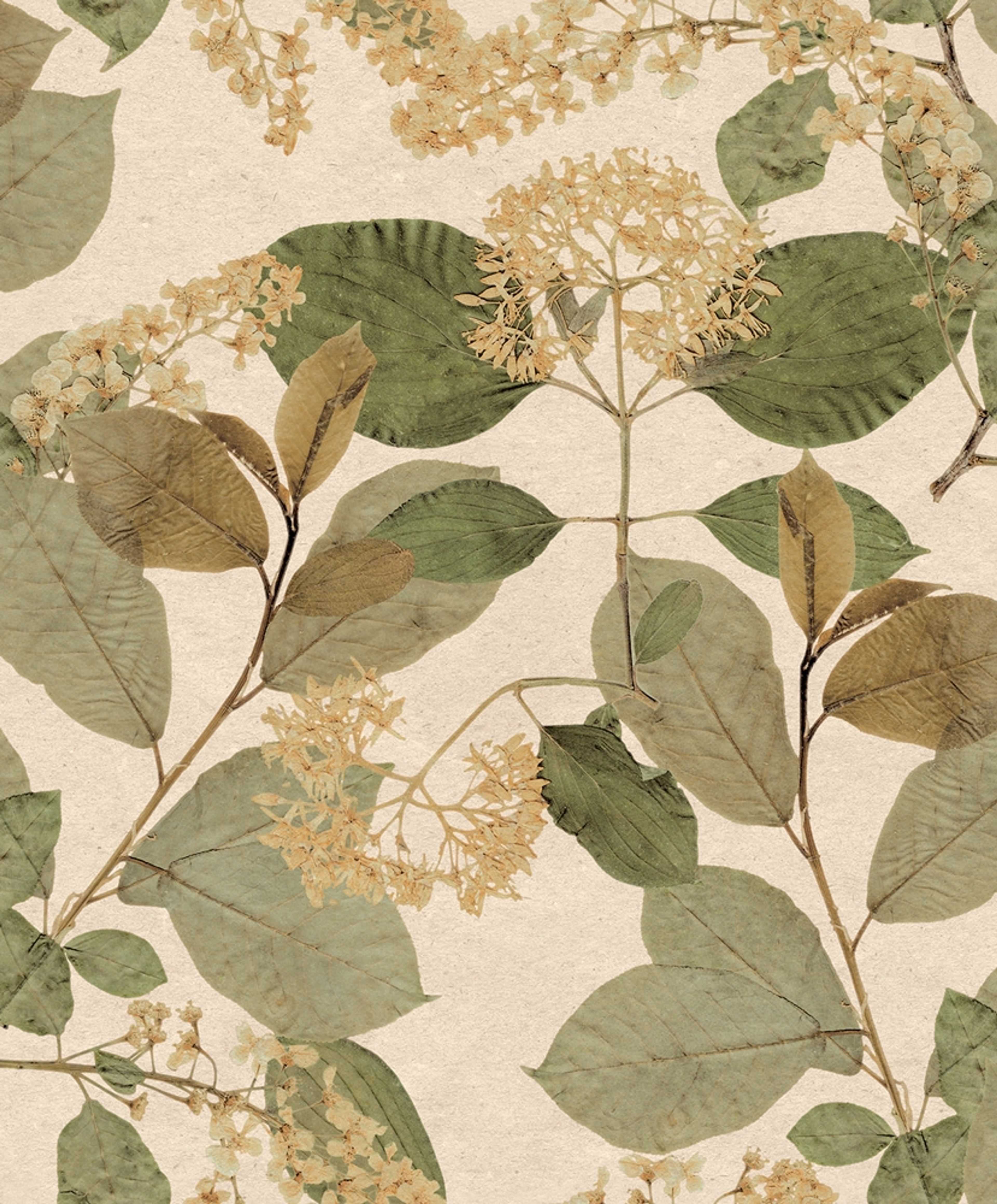 Castanum beige, tapet tapet med botaniskt mönster i beige. Från kollektionen Herbarium. Nonwoven-material med förskjuten passning.​​​​‌﻿‍﻿​‍​‍‌‍﻿﻿‌﻿​‍‌‍‍‌‌‍‌﻿‌‍‍‌‌‍﻿‍​‍​‍​﻿‍‍​‍​‍‌﻿​﻿‌‍​‌‌‍﻿‍‌‍‍‌‌﻿‌​‌﻿‍‌​‍﻿‍‌‍‍‌‌‍﻿﻿​‍​‍​‍﻿​​‍​‍‌‍‍​‌﻿​‍‌‍‌‌‌‍‌‍​‍​‍​﻿‍‍​‍​‍‌‍‍​‌﻿‌​‌﻿‌​‌﻿​​‌﻿​﻿​﻿‍‍​‍﻿﻿​‍﻿﻿‌﻿‌﻿‌﻿‌﻿‌﻿‌﻿​‍﻿‍‌‍​﻿‌‍﻿﻿‌‍﻿​‌‍﻿﻿‌﻿​‍‌‍​‌‌‍﻿‌‌‍​‌​‍﻿‍‌﻿​﻿‌‍‌‌​‍﻿﻿‌﻿​﻿‌﻿‌​‌﻿‌‌‌‍‌​‌‍‍‌‌‍﻿﻿​‍﻿﻿‌‍‍‌‌‍﻿‍‌﻿‌​‌‍‌‌‌‍﻿‍‌﻿‌​​‍﻿﻿‌‍‌‌‌‍‌​‌‍‍‌‌﻿‌​​‍﻿﻿‌‍﻿‌‌‍﻿﻿‌‍‌​‌‍‌‌​﻿﻿‌‌﻿​​‌﻿​‍‌‍‌‌‌﻿​﻿‌‍‌‌‌‍﻿‍‌﻿‌​‌‍​‌‌﻿‌​‌‍‍‌‌‍﻿﻿‌‍﻿‍​﻿‍﻿‌‍‍‌‌‍‌​​﻿﻿‌‌‍‍‌‌‍﻿‌‌‍​‌‌‍‌﻿‌‍‌‌​‍﻿‌‌‍​﻿​﻿​﻿​﻿​‍​﻿‌​‌‍‌‍‌‍​‌​﻿​‍​﻿‍‌​﻿‍​​﻿​﻿​﻿‍​‌‍​﻿​﻿‌﻿​﻿‍​​﻿​​‌‍‌‍​﻿‍​‌‍‌‍​﻿‍​​﻿​​‌‍‌‌‌‍‌‌​﻿​​​﻿​‍​﻿‌‍​﻿​‍​﻿​​​﻿‍​​﻿‍‌​﻿​‌‌‍​‍​﻿​﻿​﻿‌﻿​﻿​‌​﻿‌​‌‍​﻿‌‍‌​​﻿‍​‌‍‌​​﻿‌﻿​‍﻿‌​﻿‍​​﻿​‍​﻿‍​‌﻿‍​​﻿​‌​﻿​​​﻿​​​﻿​​​‍﻿‌‌‍‍‍‌﻿​​‌‍‌﻿​﻿‍﻿‌﻿‌​‌﻿‍‌‌﻿​​‌‍‌‌​﻿﻿‌‌﻿​﻿‌‍​‌‌‍﻿‍‌‍‍‌‌﻿‌​‌﻿‍‌​‍﻿‍‌‍‍‌‌‍﻿‌‌‍​‌‌‍‌﻿‌‍‌‌‌​​‌‌﻿​﻿‌﻿​﻿‌‍‌‌‌﻿‌​​﻿‍﻿‌﻿​​‌‍​‌‌﻿‌​‌‍‍​​﻿﻿‌‌‍​‌‌‍﻿​‌﻿‌​‌‌‌​‌‍‌‌‌﻿‍​‌﻿‌​​﻿﻿﻿‌‍​‍‌‍​‌‌﻿​﻿‌‍‌‌‌‌‌‌‌﻿​‍‌‍﻿​​﻿﻿‌‌‍‍​‌﻿‌​‌﻿‌​‌﻿​​‌﻿​﻿​‍‌‌​﻿​﻿‌​​‌​‍‌‌​﻿​‍‌​‌‍​‍‌‌​﻿​‍‌​‌‍‌﻿‌﻿‌﻿‌﻿‌﻿‌﻿​‍﻿‍‌‍​﻿‌‍﻿﻿‌‍﻿​‌‍﻿﻿‌﻿​‍‌‍​‌‌‍﻿‌‌‍​‌​‍﻿‍‌﻿​﻿‌‍‌‌​‍‌‌​﻿​‍‌​‌‍‌﻿​﻿‌﻿‌​‌﻿‌‌‌‍‌​‌‍‍‌‌‍﻿﻿​‍‌‍‌‍‍‌‌‍‌​​﻿﻿‌‌‍‍‌‌‍﻿‌‌‍​‌‌‍‌﻿‌‍‌‌​‍﻿‌‌‍​﻿​﻿​﻿​﻿​‍​﻿‌​‌‍‌‍‌‍​‌​﻿​‍​﻿‍‌​﻿‍​​﻿​﻿​﻿‍​‌‍​﻿​﻿‌﻿​﻿‍​​﻿​​‌‍‌‍​﻿‍​‌‍‌‍​﻿‍​​﻿​​‌‍‌‌‌‍‌‌​﻿​​​﻿​‍​﻿‌‍​﻿​‍​﻿​​​﻿‍​​﻿‍‌​﻿​‌‌‍​‍​﻿​﻿​﻿‌﻿​﻿​‌​﻿‌​‌‍​﻿‌‍‌​​﻿‍​‌‍‌​​﻿‌﻿​‍﻿‌​﻿‍​​﻿​‍​﻿‍​‌﻿‍​​﻿​‌​﻿​​​﻿​​​﻿​​​‍﻿‌‌‍‍‍‌﻿​​‌‍‌﻿​‍‌‍‌﻿‌​‌﻿‍‌‌﻿​​‌‍‌‌​﻿﻿‌‌﻿​﻿‌‍​‌‌‍﻿‍‌‍‍‌‌﻿‌​‌﻿‍‌​‍﻿‍‌‍‍‌‌‍﻿‌‌‍​‌‌‍‌﻿‌‍‌‌‌​​‌‌﻿​﻿‌﻿​﻿‌‍‌‌‌﻿‌​​‍‌‍‌﻿​​‌‍​‌‌﻿‌​‌‍‍​​﻿﻿‌‌‍​‌‌‍﻿​‌﻿‌​‌‌‌​‌‍‌‌‌﻿‍​‌﻿‌​​‍‌‍‌﻿​​‌‍‌‌‌﻿​‍‌﻿​﻿‌﻿​​‌‍‌‌‌‍​﻿‌﻿‌​‌‍‍‌‌﻿‌‍‌‍‌‌​﻿﻿‌‌﻿​​‌﻿‌‌‌‍​‍‌‍﻿​‌‍‍‌‌﻿​﻿‌‍‍​‌‍‌‌‌‍‌​​‍​‍‌﻿﻿‌