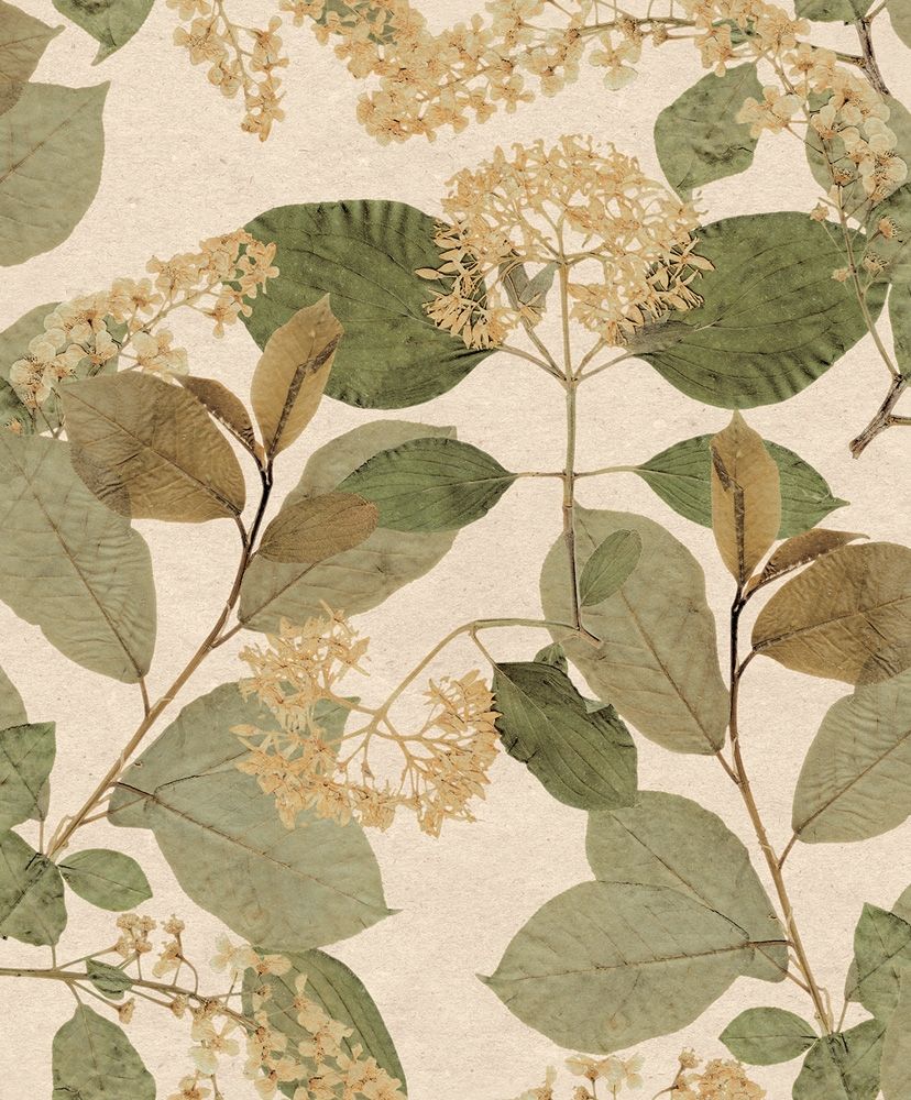 Castanum beige, tapet tapet med botaniskt mönster i beige. Från kollektionen Herbarium. Nonwoven-material med förskjuten passning.