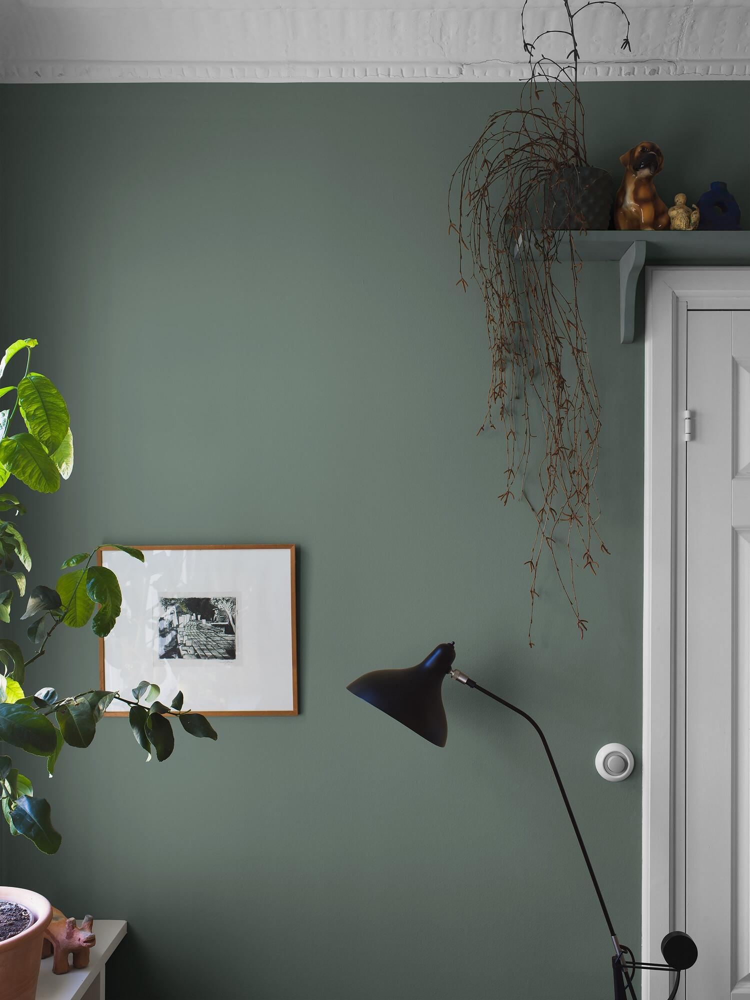 Dusk Green tapet enfärgad i grön. Från kollektionen Pigment. Nonwoven-material.