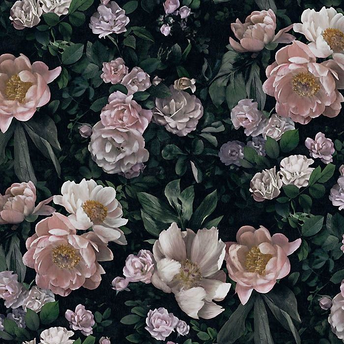New Dawn Rose tapet från Boråstapeter med blommigt mönster i svart och rosa. Från kollektionen In Bloom. Nonwoven-material med förskjuten passning. Country, city-stil. Passar i vardagsrum, sovrum och hall.