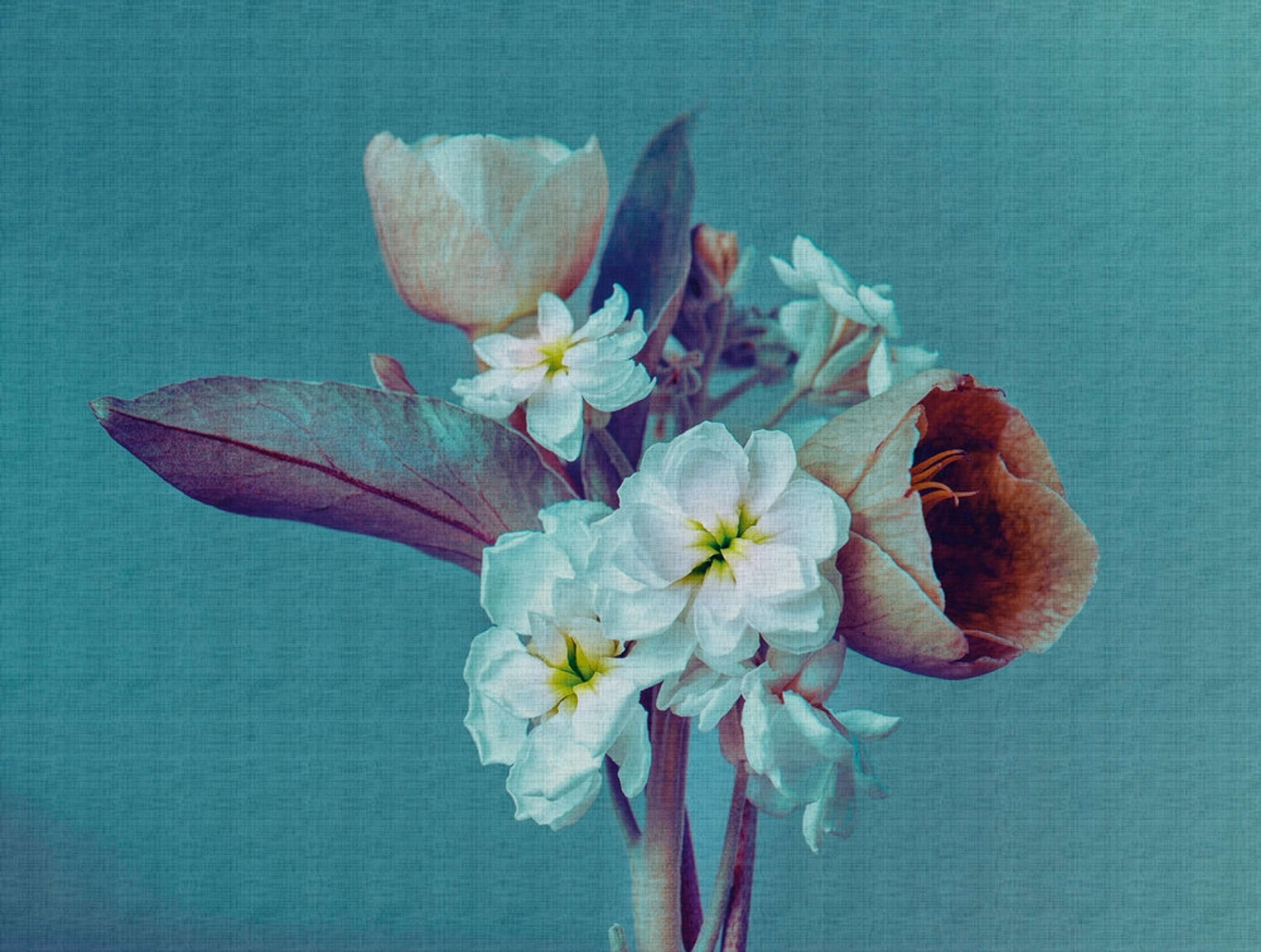 Flowers tapet med blommigt mönster i blå. Från kollektionen The Wall. Nonwoven-material. Passar i vardagsrum och matsal.​​​​‌﻿‍﻿​‍​‍‌‍﻿﻿‌﻿​‍‌‍‍‌‌‍‌﻿‌‍‍‌‌‍﻿‍​‍​‍​﻿‍‍​‍​‍‌﻿​﻿‌‍​‌‌‍﻿‍‌‍‍‌‌﻿‌​‌﻿‍‌​‍﻿‍‌‍‍‌‌‍﻿﻿​‍​‍​‍﻿​​‍​‍‌‍‍​‌﻿​‍‌‍‌‌‌‍‌‍​‍​‍​﻿‍‍​‍​‍‌‍‍​‌﻿‌​‌﻿‌​‌﻿​​‌﻿​﻿​﻿‍‍​‍﻿﻿​‍﻿﻿‌﻿‌﻿‌﻿‌﻿‌﻿‌﻿​‍﻿‍‌‍​﻿‌‍﻿﻿‌‍﻿​‌‍﻿﻿‌﻿​‍‌‍​‌‌‍﻿‌‌‍​‌​‍﻿‍‌﻿​﻿‌‍‌‌​‍﻿﻿‌﻿​﻿‌﻿‌​‌﻿‌‌‌‍‌​‌‍‍‌‌‍﻿﻿​‍﻿﻿‌‍‍‌‌‍﻿‍‌﻿‌​‌‍‌‌‌‍﻿‍‌﻿‌​​‍﻿﻿‌‍‌‌‌‍‌​‌‍‍‌‌﻿‌​​‍﻿﻿‌‍﻿‌‌‍﻿﻿‌‍‌​‌‍‌‌​﻿﻿‌‌﻿​​‌﻿​‍‌‍‌‌‌﻿​﻿‌‍‌‌‌‍﻿‍‌﻿‌​‌‍​‌‌﻿‌​‌‍‍‌‌‍﻿﻿‌‍﻿‍​﻿‍﻿‌‍‍‌‌‍‌​​﻿﻿‌‌‍‍‌‌‍﻿‌‌‍​‌‌‍‌﻿‌‍‌‌​‍﻿‌‌‍​﻿​﻿‍​​﻿‍​​﻿‍​​﻿‌‌​﻿‍‌‌‍​﻿‌‍​‌​﻿‌‌​﻿​﻿​﻿‍​​﻿‌﻿​﻿​‍​﻿‌​​﻿‌﻿​﻿​‍​﻿‌‌​﻿​‌​﻿‌​​﻿​‍​﻿‌﻿​﻿‍‌‌‍​﻿‌‍​‍‌‍​‌‌‍​‌​﻿‌​​﻿‌﻿​﻿​‍‌‍‌‍​﻿​‍​﻿‌​​﻿‌​​﻿‌﻿​﻿​‍‌‍​﻿​﻿‌​‌‍‌​​﻿​​‌‍‌‍​‍﻿‌​﻿​‌​﻿​​​﻿​​​﻿​​‌﻿‍​​﻿‌﻿​﻿‌‌​﻿‌‌​‍﻿‌‌‍‍‍‌﻿​​‌‍‌﻿​﻿‍﻿‌﻿‌​‌﻿‍‌‌﻿​​‌‍‌‌​﻿﻿‌‌﻿​﻿‌‍​‌‌‍﻿‍‌‍‍‌‌﻿‌​‌﻿‍‌​‍﻿‍‌‍‍‌‌‍﻿‌‌‍​‌‌‍‌﻿‌‍‌‌‌​​‌‌﻿​﻿‌﻿​﻿‌‍‌‌‌﻿‌​​﻿‍﻿‌﻿​​‌‍​‌‌﻿‌​‌‍‍​​﻿﻿‌‌‍​‌‌‍﻿​‌﻿‌​‌‌‌​‌‍‌‌‌﻿‍​‌﻿‌​​﻿﻿﻿‌‍​‍‌‍​‌‌﻿​﻿‌‍‌‌‌‌‌‌‌﻿​‍‌‍﻿​​﻿﻿‌‌‍‍​‌﻿‌​‌﻿‌​‌﻿​​‌﻿​﻿​‍‌‌​﻿​﻿‌​​‌​‍‌‌​﻿​‍‌​‌‍​‍‌‌​﻿​‍‌​‌‍‌﻿‌﻿‌﻿‌﻿‌﻿‌﻿​‍﻿‍‌‍​﻿‌‍﻿﻿‌‍﻿​‌‍﻿﻿‌﻿​‍‌‍​‌‌‍﻿‌‌‍​‌​‍﻿‍‌﻿​﻿‌‍‌‌​‍‌‌​﻿​‍‌​‌‍‌﻿​﻿‌﻿‌​‌﻿‌‌‌‍‌​‌‍‍‌‌‍﻿﻿​‍‌‍‌‍‍‌‌‍‌​​﻿﻿‌‌‍‍‌‌‍﻿‌‌‍​‌‌‍‌﻿‌‍‌‌​‍﻿‌‌‍​﻿​﻿‍​​﻿‍​​﻿‍​​﻿‌‌​﻿‍‌‌‍​﻿‌‍​‌​﻿‌‌​﻿​﻿​﻿‍​​﻿‌﻿​﻿​‍​﻿‌​​﻿‌﻿​﻿​‍​﻿‌‌​﻿​‌​﻿‌​​﻿​‍​﻿‌﻿​﻿‍‌‌‍​﻿‌‍​‍‌‍​‌‌‍​‌​﻿‌​​﻿‌﻿​﻿​‍‌‍‌‍​﻿​‍​﻿‌​​﻿‌​​﻿‌﻿​﻿​‍‌‍​﻿​﻿‌​‌‍‌​​﻿​​‌‍‌‍​‍﻿‌​﻿​‌​﻿​​​﻿​​​﻿​​‌﻿‍​​﻿‌﻿​﻿‌‌​﻿‌‌​‍﻿‌‌‍‍‍‌﻿​​‌‍‌﻿​‍‌‍‌﻿‌​‌﻿‍‌‌﻿​​‌‍‌‌​﻿﻿‌‌﻿​﻿‌‍​‌‌‍﻿‍‌‍‍‌‌﻿‌​‌﻿‍‌​‍﻿‍‌‍‍‌‌‍﻿‌‌‍​‌‌‍‌﻿‌‍‌‌‌​​‌‌﻿​﻿‌﻿​﻿‌‍‌‌‌﻿‌​​‍‌‍‌﻿​​‌‍​‌‌﻿‌​‌‍‍​​﻿﻿‌‌‍​‌‌‍﻿​‌﻿‌​‌‌‌​‌‍‌‌‌﻿‍​‌﻿‌​​‍‌‍‌﻿​​‌‍‌‌‌﻿​‍‌﻿​﻿‌﻿​​‌‍‌‌‌‍​﻿‌﻿‌​‌‍‍‌‌﻿‌‍‌‍‌‌​﻿﻿‌‌﻿​​‌﻿‌‌‌‍​‍‌‍﻿​‌‍‍‌‌﻿​﻿‌‍‍​‌‍‌‌‌‍‌​​‍​‍‌﻿﻿‌