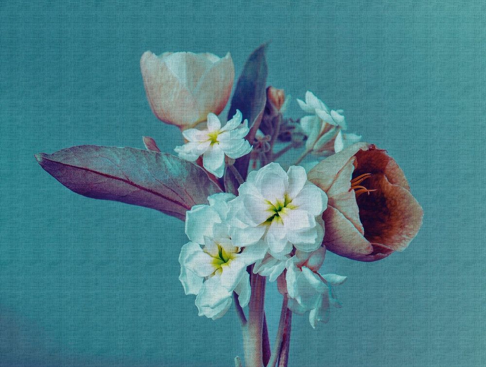 Flowers tapet med blommigt mönster i blå. Från kollektionen The Wall. Nonwoven-material. Passar i vardagsrum och matsal.