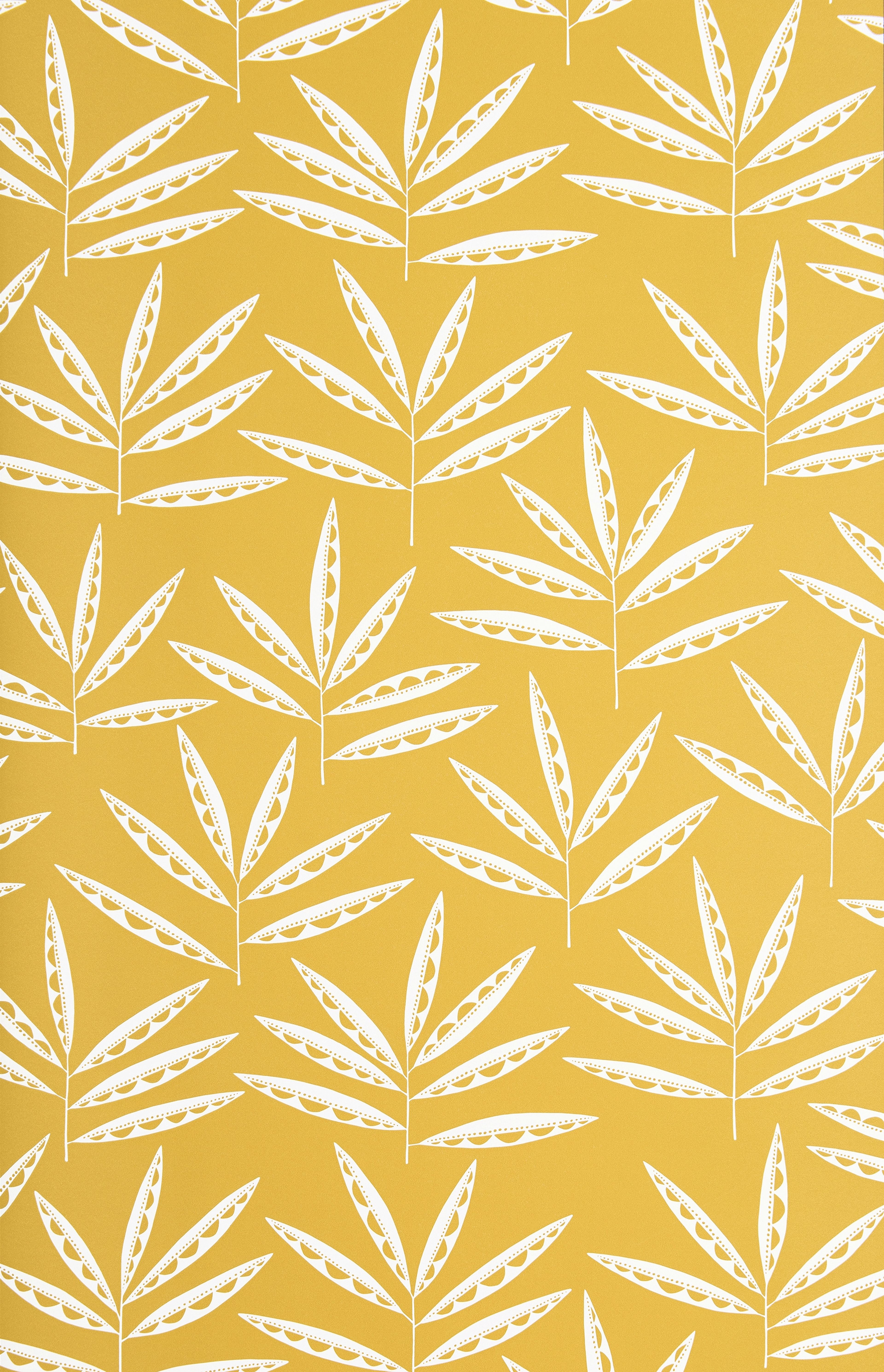 Pea Pods tapet från Midbec med botaniskt, retro mönster i gul. Från kollektionen Seven Sisters. Nonwoven-material med förskjuten passning.​​​​‌﻿‍﻿​‍​‍‌‍﻿﻿‌﻿​‍‌‍‍‌‌‍‌﻿‌‍‍‌‌‍﻿‍​‍​‍​﻿‍‍​‍​‍‌﻿​﻿‌‍​‌‌‍﻿‍‌‍‍‌‌﻿‌​‌﻿‍‌​‍﻿‍‌‍‍‌‌‍﻿﻿​‍​‍​‍﻿​​‍​‍‌‍‍​‌﻿​‍‌‍‌‌‌‍‌‍​‍​‍​﻿‍‍​‍​‍‌‍‍​‌﻿‌​‌﻿‌​‌﻿​​‌﻿​﻿​﻿‍‍​‍﻿﻿​‍﻿﻿‌﻿‌﻿‌﻿‌﻿‌﻿‌﻿​‍﻿‍‌‍​﻿‌‍﻿﻿‌‍﻿​‌‍﻿﻿‌﻿​‍‌‍​‌‌‍﻿‌‌‍​‌​‍﻿‍‌﻿​﻿‌‍‌‌​‍﻿﻿‌﻿​﻿‌﻿‌​‌﻿‌‌‌‍‌​‌‍‍‌‌‍﻿﻿​‍﻿﻿‌‍‍‌‌‍﻿‍‌﻿‌​‌‍‌‌‌‍﻿‍‌﻿‌​​‍﻿﻿‌‍‌‌‌‍‌​‌‍‍‌‌﻿‌​​‍﻿﻿‌‍﻿‌‌‍﻿﻿‌‍‌​‌‍‌‌​﻿﻿‌‌﻿​​‌﻿​‍‌‍‌‌‌﻿​﻿‌‍‌‌‌‍﻿‍‌﻿‌​‌‍​‌‌﻿‌​‌‍‍‌‌‍﻿﻿‌‍﻿‍​﻿‍﻿‌‍‍‌‌‍‌​​﻿﻿‌‌‍‍‌‌‍﻿‌‌‍​‌‌‍‌﻿‌‍‌‌​‍﻿‌‌‍​﻿‌‍​‌​﻿​​​﻿‍​‌‍‌‍​﻿‌​​﻿‍‌​﻿‌‍​﻿‌‌​﻿‍‌​﻿​‌​﻿​​‌‍​﻿​﻿​‌​﻿‌‌​﻿‌‍​﻿‍‌​﻿‍​‌‍‌​​﻿‌﻿‌‍‌​‌‍​﻿​﻿‌‌​﻿‌﻿‌‍​‌​﻿‌﻿​﻿‌​​﻿‌‌​﻿‍‌​﻿‍‌​﻿​‌​﻿‍‌​﻿‌‌​﻿​​​﻿​﻿‌‍‌‍​﻿‌​‌‍‌‌​﻿​‌​﻿​‌​‍﻿‌​﻿​‌​﻿‍‌​﻿​​​﻿​​‌﻿‍​​﻿​‍​﻿‍‌​﻿‌‌​﻿​​​‍﻿‌‌‍‍‍‌﻿​​‌‍‌﻿​﻿‍﻿‌﻿‌​‌﻿‍‌‌﻿​​‌‍‌‌​﻿﻿‌‌﻿​﻿‌‍​‌‌‍﻿‍‌‍‍‌‌﻿‌​‌﻿‍‌​‍﻿‍‌‍‍‌‌‍﻿‌‌‍​‌‌‍‌﻿‌‍‌‌‌​​‌‌﻿​﻿‌﻿​﻿‌‍‌‌‌﻿‌​​﻿‍﻿‌﻿​​‌‍​‌‌﻿‌​‌‍‍​​﻿﻿‌‌‍​‌‌‍﻿​‌﻿‌​‌‌‌​‌‍‌‌‌﻿‍​‌﻿‌​​﻿﻿﻿‌‍​‍‌‍​‌‌﻿​﻿‌‍‌‌‌‌‌‌‌﻿​‍‌‍﻿​​﻿﻿‌‌‍‍​‌﻿‌​‌﻿‌​‌﻿​​‌﻿​﻿​‍‌‌​﻿​﻿‌​​‌​‍‌‌​﻿​‍‌​‌‍​‍‌‌​﻿​‍‌​‌‍‌﻿‌﻿‌﻿‌﻿‌﻿‌﻿​‍﻿‍‌‍​﻿‌‍﻿﻿‌‍﻿​‌‍﻿﻿‌﻿​‍‌‍​‌‌‍﻿‌‌‍​‌​‍﻿‍‌﻿​﻿‌‍‌‌​‍‌‌​﻿​‍‌​‌‍‌﻿​﻿‌﻿‌​‌﻿‌‌‌‍‌​‌‍‍‌‌‍﻿﻿​‍‌‍‌‍‍‌‌‍‌​​﻿﻿‌‌‍‍‌‌‍﻿‌‌‍​‌‌‍‌﻿‌‍‌‌​‍﻿‌‌‍​﻿‌‍​‌​﻿​​​﻿‍​‌‍‌‍​﻿‌​​﻿‍‌​﻿‌‍​﻿‌‌​﻿‍‌​﻿​‌​﻿​​‌‍​﻿​﻿​‌​﻿‌‌​﻿‌‍​﻿‍‌​﻿‍​‌‍‌​​﻿‌﻿‌‍‌​‌‍​﻿​﻿‌‌​﻿‌﻿‌‍​‌​﻿‌﻿​﻿‌​​﻿‌‌​﻿‍‌​﻿‍‌​﻿​‌​﻿‍‌​﻿‌‌​﻿​​​﻿​﻿‌‍‌‍​﻿‌​‌‍‌‌​﻿​‌​﻿​‌​‍﻿‌​﻿​‌​﻿‍‌​﻿​​​﻿​​‌﻿‍​​﻿​‍​﻿‍‌​﻿‌‌​﻿​​​‍﻿‌‌‍‍‍‌﻿​​‌‍‌﻿​‍‌‍‌﻿‌​‌﻿‍‌‌﻿​​‌‍‌‌​﻿﻿‌‌﻿​﻿‌‍​‌‌‍﻿‍‌‍‍‌‌﻿‌​‌﻿‍‌​‍﻿‍‌‍‍‌‌‍﻿‌‌‍​‌‌‍‌﻿‌‍‌‌‌​​‌‌﻿​﻿‌﻿​﻿‌‍‌‌‌﻿‌​​‍‌‍‌﻿​​‌‍​‌‌﻿‌​‌‍‍​​﻿﻿‌‌‍​‌‌‍﻿​‌﻿‌​‌‌‌​‌‍‌‌‌﻿‍​‌﻿‌​​‍‌‍‌﻿​​‌‍‌‌‌﻿​‍‌﻿​﻿‌﻿​​‌‍‌‌‌‍​﻿‌﻿‌​‌‍‍‌‌﻿‌‍‌‍‌‌​﻿﻿‌‌﻿​​‌﻿‌‌‌‍​‍‌‍﻿​‌‍‍‌‌﻿​﻿‌‍‍​‌‍‌‌‌‍‌​​‍​‍‌﻿﻿‌