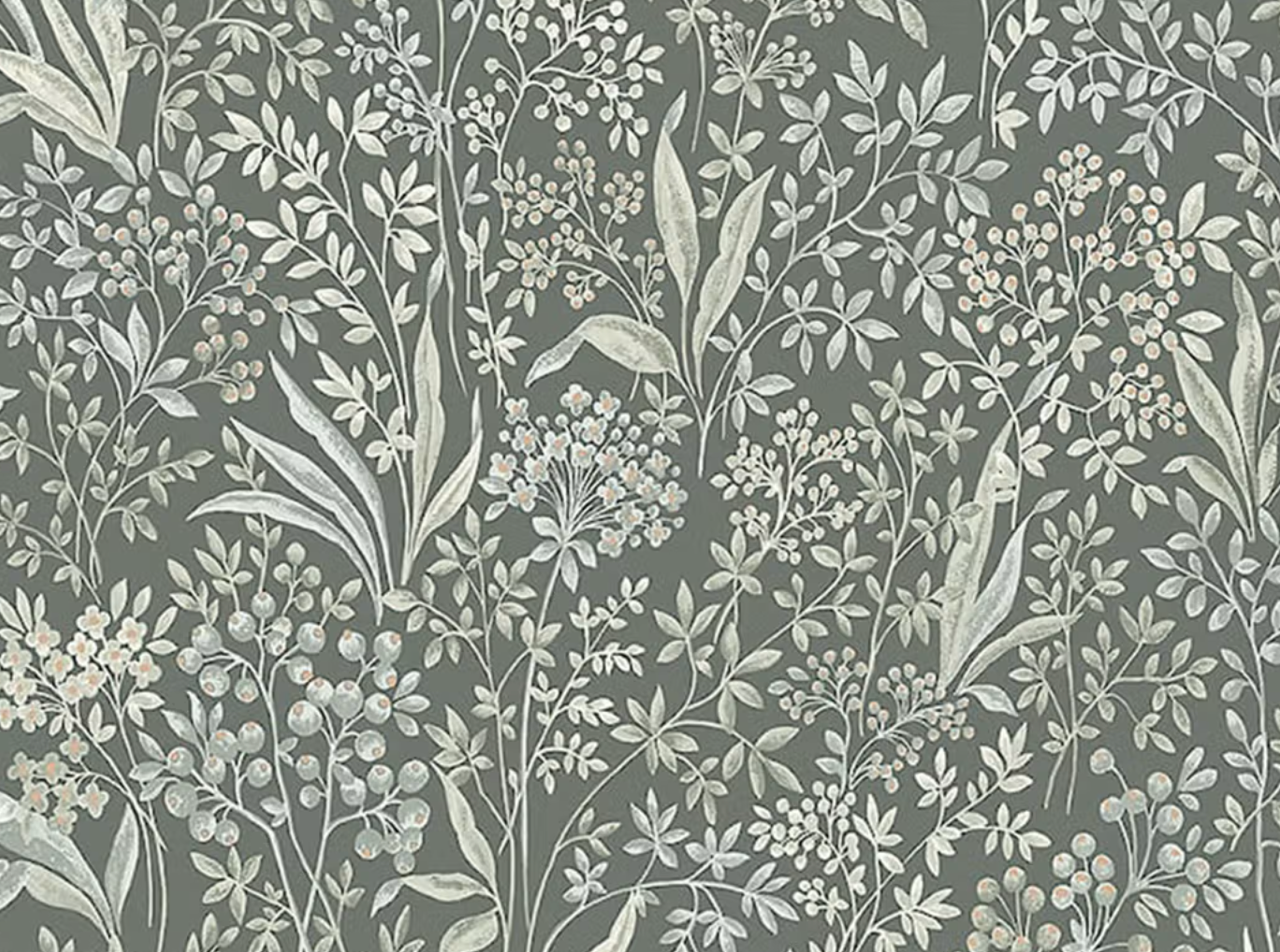 Light gray botanical pattern with leaves, berries, and flowers on a dark green background.​​​​‌﻿‍﻿​‍​‍‌‍﻿﻿‌﻿​‍‌‍‍‌‌‍‌﻿‌‍‍‌‌‍﻿‍​‍​‍​﻿‍‍​‍​‍‌﻿​﻿‌‍​‌‌‍﻿‍‌‍‍‌‌﻿‌​‌﻿‍‌​‍﻿‍‌‍‍‌‌‍﻿﻿​‍​‍​‍﻿​​‍​‍‌‍‍​‌﻿​‍‌‍‌‌‌‍‌‍​‍​‍​﻿‍‍​‍​‍‌‍‍​‌﻿‌​‌﻿‌​‌﻿​​‌﻿​﻿​﻿‍‍​‍﻿﻿​‍﻿﻿‌﻿‌﻿‌﻿‌﻿‌﻿‌﻿​‍﻿‍‌‍​﻿‌‍﻿﻿‌‍﻿​‌‍﻿﻿‌﻿​‍‌‍​‌‌‍﻿‌‌‍​‌​‍﻿‍‌﻿​﻿‌‍‌‌​‍﻿﻿‌﻿​﻿‌﻿‌​‌﻿‌‌‌‍‌​‌‍‍‌‌‍﻿﻿​‍﻿﻿‌‍‍‌‌‍﻿‍‌﻿‌​‌‍‌‌‌‍﻿‍‌﻿‌​​‍﻿﻿‌‍‌‌‌‍‌​‌‍‍‌‌﻿‌​​‍﻿﻿‌‍﻿‌‌‍﻿﻿‌‍‌​‌‍‌‌​﻿﻿‌‌﻿​​‌﻿​‍‌‍‌‌‌﻿​﻿‌‍‌‌‌‍﻿‍‌﻿‌​‌‍​‌‌﻿‌​‌‍‍‌‌‍﻿﻿‌‍﻿‍​﻿‍﻿‌‍‍‌‌‍‌​​﻿﻿‌​﻿‌‍​﻿‌﻿​﻿​‌​﻿‌﻿‌‍​﻿​﻿​​​﻿‌​‌‍​﻿​‍﻿‌‌‍​‌​﻿‌‌‌‍​﻿‌‍‌‌​‍﻿‌​﻿‌​‌‍​‍‌‍‌‌​﻿​‌​‍﻿‌​﻿‍‌​﻿​‍‌‍‌‍​﻿‍​​‍﻿‌​﻿‌‌​﻿‍​‌‍‌‍​﻿‌‍​﻿‌﻿​﻿‌﻿​﻿​‌‌‍‌‌​﻿‌‌‌‍‌​​﻿​‌‌‍‌‌​﻿‍﻿‌﻿‌​‌﻿‍‌‌﻿​​‌‍‌‌​﻿﻿‌‌‍​﻿‌‍﻿﻿‌‍﻿‍‌﻿‌​‌‍‌‌‌‍﻿‍‌﻿‌​‌‌​​‌‍​‌‌‍‌﻿‌‍‌‌​﻿‍﻿‌﻿​​‌‍​‌‌﻿‌​‌‍‍​​﻿﻿‌‌‍​﻿‌‍﻿﻿‌‍﻿‍‌﻿‌​‌‍‌‌‌‍﻿‍‌﻿‌​‌​​‍‌‍﻿​‌‍﻿﻿‌‍​﻿‌‍‍﻿‌﻿​﻿​‍‌‌​﻿‌‌‌​​‍‌‌﻿﻿‌‍‍﻿‌‍‌‌‌﻿‍‌​‍‌‌​﻿​﻿‌​‌​​‍‌‌​﻿​﻿‌​‌​​‍‌‌​﻿​‍​﻿​‍‌‍​‍​﻿‌​​﻿​​‌‍‌​​﻿​‌​﻿​﻿​﻿‌‍‌‍​‌​﻿‌‌​﻿​​‌‍​﻿‌‍‌‌​‍‌‌​﻿​‍​﻿​‍​‍‌‌​﻿‌‌‌​‌​​‍﻿‍‌‍‍‌‌﻿‌​‌‍‌‌‌‍﻿‌‌﻿​﻿​‍‌‌​﻿‌‌‌​​‍‌‌﻿﻿‌‍‍﻿‌‍‌‌‌﻿‍‌​‍‌‌​﻿​﻿‌​‌​​‍‌‌​﻿​﻿‌​‌​​‍‌‌​﻿​‍​﻿​‍​﻿‌‌‌‍‌‌‌‍​‍‌‍‌‍​﻿‌﻿​﻿​​​﻿‌﻿​﻿​﻿​﻿‌‍‌‍‌‌‌‍​‍‌‍​‍​‍‌‌​﻿​‍​﻿​‍​‍‌‌​﻿‌‌‌​‌​​‍﻿‍‌‍﻿‌‌‍‌‌‌‍‌​‌‍‍‌‌‍​‌​‍﻿‍‌‍‍‌‌‍﻿‌‌‍​‌‌‍‌﻿‌‍‌‌​‍﻿‍‌‍​‌‌‍﻿​‌﻿‌​‌‌‌​‌‍‌‌‌﻿‍​‌﻿‌​​﻿﻿﻿‌‍​‍‌‍​‌‌﻿​﻿‌‍‌‌‌‌‌‌‌﻿​‍‌‍﻿​​﻿﻿‌‌‍‍​‌﻿‌​‌﻿‌​‌﻿​​‌﻿​﻿​‍‌‌​﻿​﻿‌​​‌​‍‌‌​﻿​‍‌​‌‍​‍‌‌​﻿​‍‌​‌‍‌﻿‌﻿‌﻿‌﻿‌﻿‌﻿​‍﻿‍‌‍​﻿‌‍﻿﻿‌‍﻿​‌‍﻿﻿‌﻿​‍‌‍​‌‌‍﻿‌‌‍​‌​‍﻿‍‌﻿​﻿‌‍‌‌​‍‌‌​﻿​‍‌​‌‍‌﻿​﻿‌﻿‌​‌﻿‌‌‌‍‌​‌‍‍‌‌‍﻿﻿​‍‌‍‌‍‍‌‌‍‌​​﻿﻿‌​﻿‌‍​﻿‌﻿​﻿​‌​﻿‌﻿‌‍​﻿​﻿​​​﻿‌​‌‍​﻿​‍﻿‌‌‍​‌​﻿‌‌‌‍​﻿‌‍‌‌​‍﻿‌​﻿‌​‌‍​‍‌‍‌‌​﻿​‌​‍﻿‌​﻿‍‌​﻿​‍‌‍‌‍​﻿‍​​‍﻿‌​﻿‌‌​﻿‍​‌‍‌‍​﻿‌‍​﻿‌﻿​﻿‌﻿​﻿​‌‌‍‌‌​﻿‌‌‌‍‌​​﻿​‌‌‍‌‌​‍‌‍‌﻿‌​‌﻿‍‌‌﻿​​‌‍‌‌​﻿﻿‌‌‍​﻿‌‍﻿﻿‌‍﻿‍‌﻿‌​‌‍‌‌‌‍﻿‍‌﻿‌​‌‌​​‌‍​‌‌‍‌﻿‌‍‌‌​‍‌‍‌﻿​​‌‍​‌‌﻿‌​‌‍‍​​﻿﻿‌‌‍​﻿‌‍﻿﻿‌‍﻿‍‌﻿‌​‌‍‌‌‌‍﻿‍‌﻿‌​‌​​‍‌‍﻿​‌‍﻿﻿‌‍​﻿‌‍‍﻿‌﻿​﻿​‍‌‌​﻿‌‌‌​​‍‌‌﻿﻿‌‍‍﻿‌‍‌‌‌﻿‍‌​‍‌‌​﻿​﻿‌​‌​​‍‌‌​﻿​﻿‌​‌​​‍‌‌​﻿​‍​﻿​‍‌‍​‍​﻿‌​​﻿​​‌‍‌​​﻿​‌​﻿​﻿​﻿‌‍‌‍​‌​﻿‌‌​﻿​​‌‍​﻿‌‍‌‌​‍‌‌​﻿​‍​﻿​‍​‍‌‌​﻿‌‌‌​‌​​‍﻿‍‌‍‍‌‌﻿‌​‌‍‌‌‌‍﻿‌‌﻿​﻿​‍‌‌​﻿‌‌‌​​‍‌‌﻿﻿‌‍‍﻿‌‍‌‌‌﻿‍‌​‍‌‌​﻿​﻿‌​‌​​‍‌‌​﻿​﻿‌​‌​​‍‌‌​﻿​‍​﻿​‍​﻿‌‌‌‍‌‌‌‍​‍‌‍‌‍​﻿‌﻿​﻿​​​﻿‌﻿​﻿​﻿​﻿‌‍‌‍‌‌‌‍​‍‌‍​‍​‍‌‌​﻿​‍​﻿​‍​‍‌‌​﻿‌‌‌​‌​​‍﻿‍‌‍﻿‌‌‍‌‌‌‍‌​‌‍‍‌‌‍​‌​‍﻿‍‌‍‍‌‌‍﻿‌‌‍​‌‌‍‌﻿‌‍‌‌​‍﻿‍‌‍​‌‌‍﻿​‌﻿‌​‌‌‌​‌‍‌‌‌﻿‍​‌﻿‌​​‍‌‍‌﻿​​‌‍‌‌‌﻿​‍‌﻿​﻿‌﻿​​‌‍‌‌‌‍​﻿‌﻿‌​‌‍‍‌‌﻿‌‍‌‍‌‌​﻿﻿‌‌﻿​​‌﻿‌‌‌‍​‍‌‍﻿​‌‍‍‌‌﻿​﻿‌‍‍​‌‍‌‌‌‍‌​​‍​‍‌﻿﻿‌