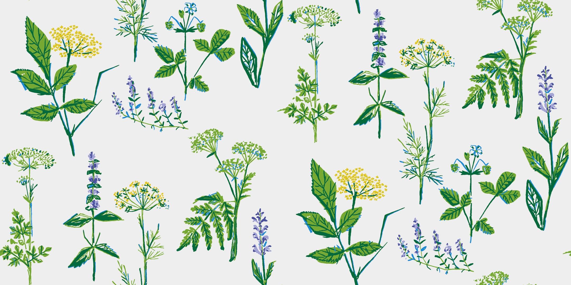 Köksväxter tapet från Boråstapeter med blommigt, retro mönster i vit och grön. Från kollektionen Scandinavian Designers II. Nonwoven-material med förskjuten passning.