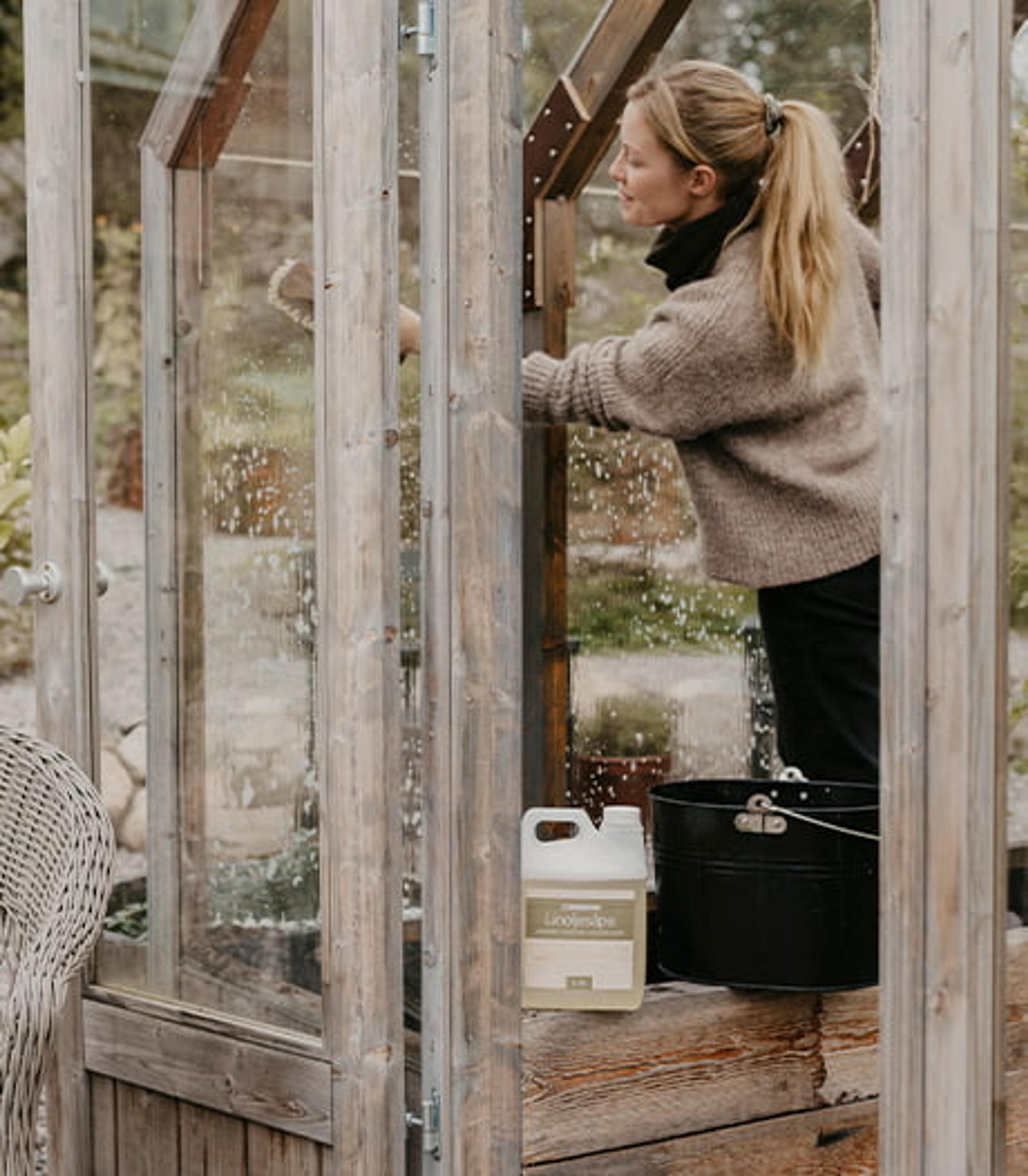 A woman cleans the glass of a wooden greenhouse with a brush, with a bottle of cleaner and a bucket nearby.