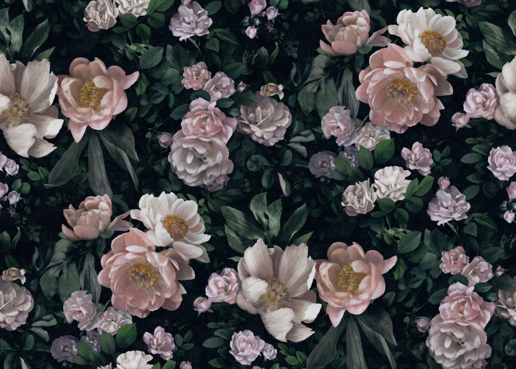 New Dawn Rose tapet från Boråstapeter med blommigt mönster i svart och rosa. Från kollektionen In Bloom. Nonwoven-material med förskjuten passning. Country, city-stil. Passar i vardagsrum, sovrum och hall.