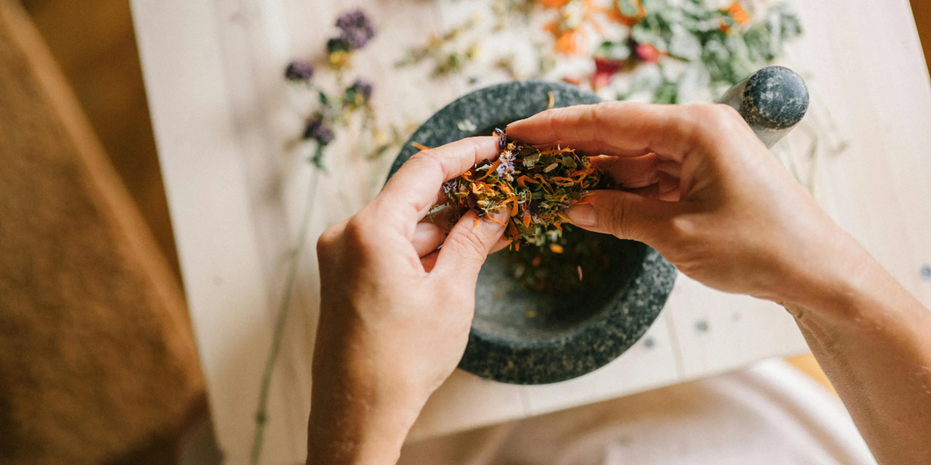 Plantas medicinales en casa
