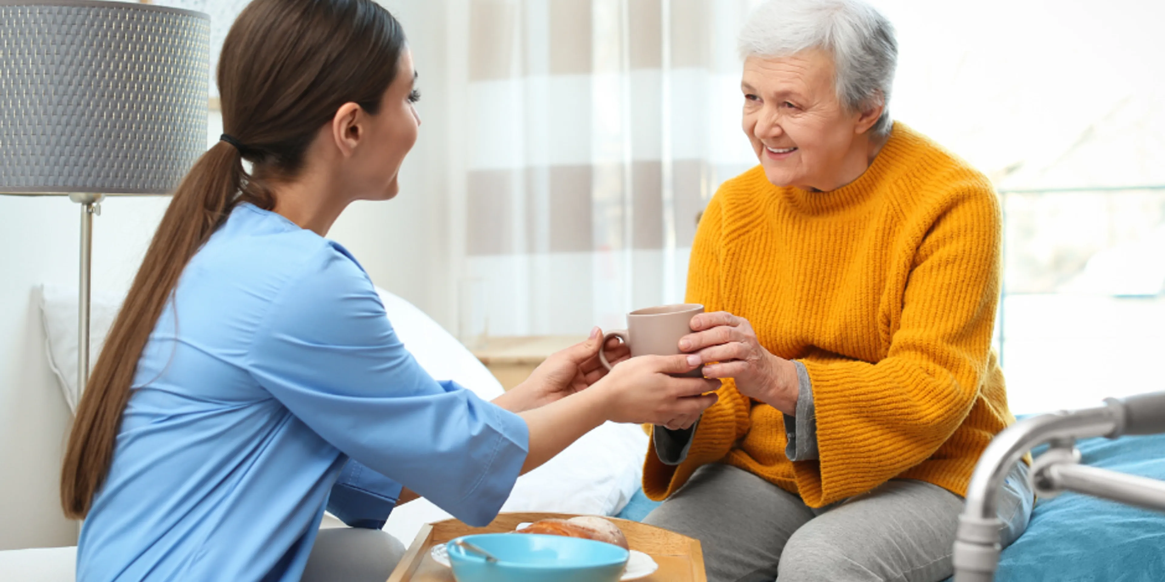 Elección de un cuidador para el adulto mayor