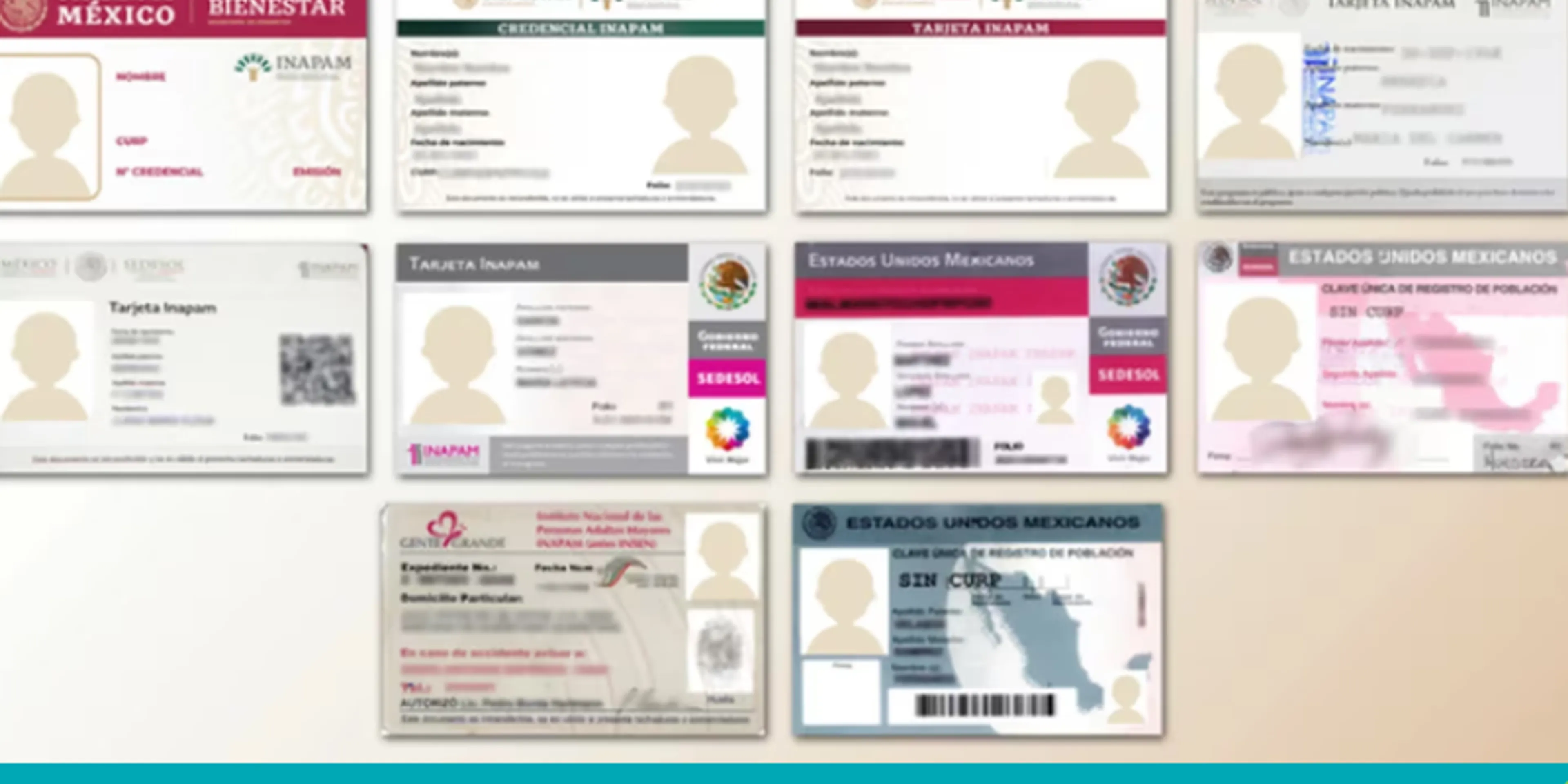 Renovación de tarjeta INAPAM 2024