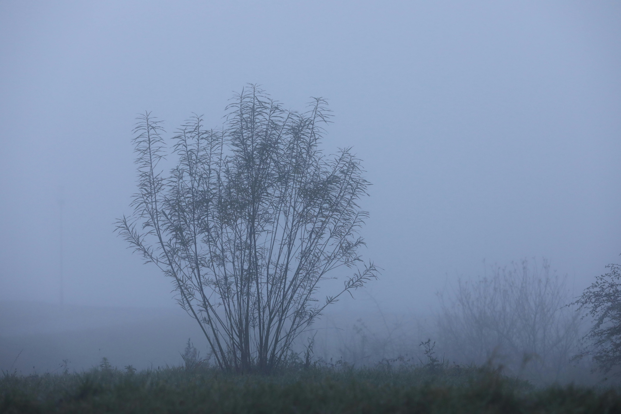 Qué es el Blue Monday