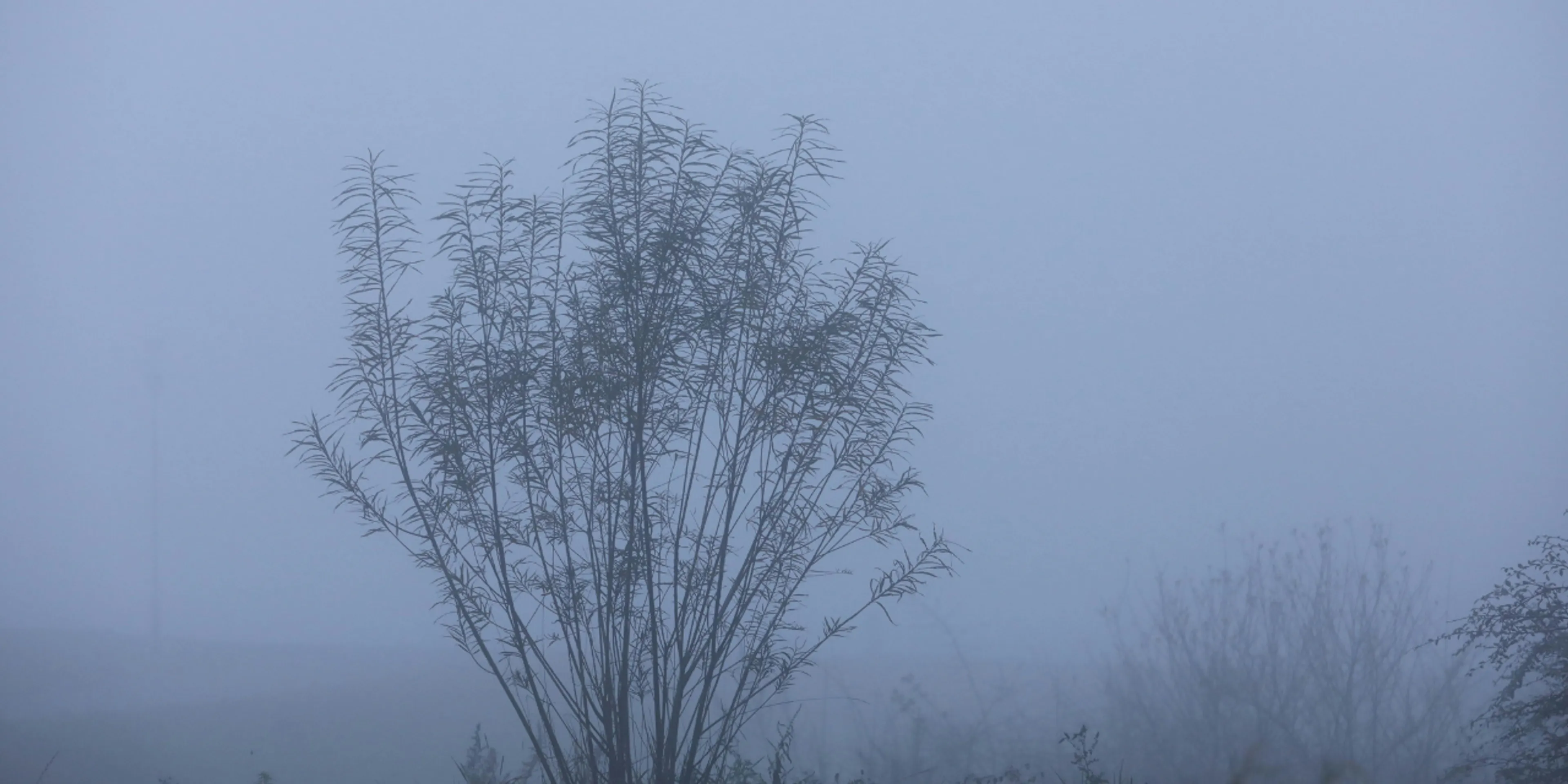 Qué es el Blue Monday