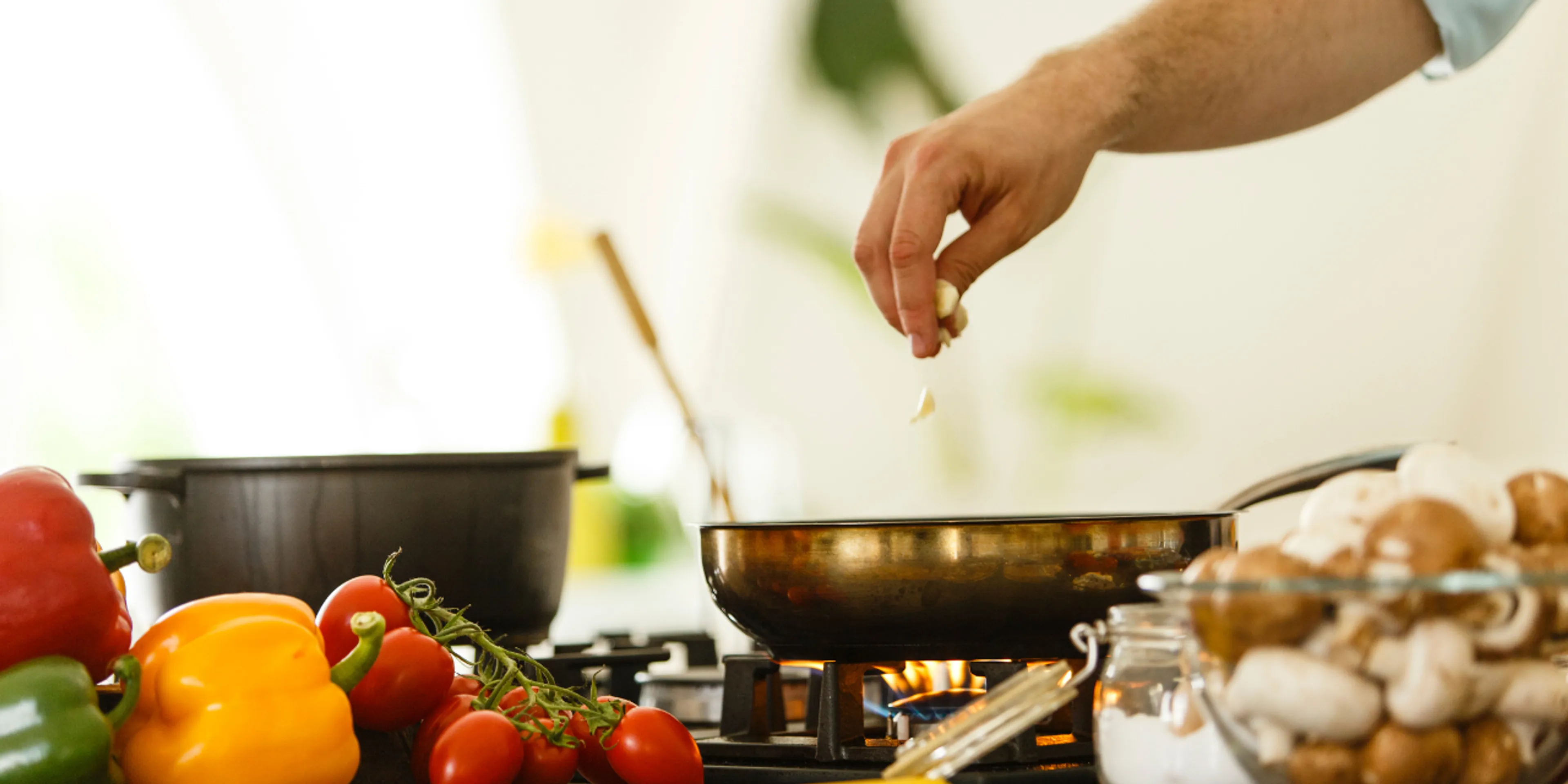 términos de alimentación