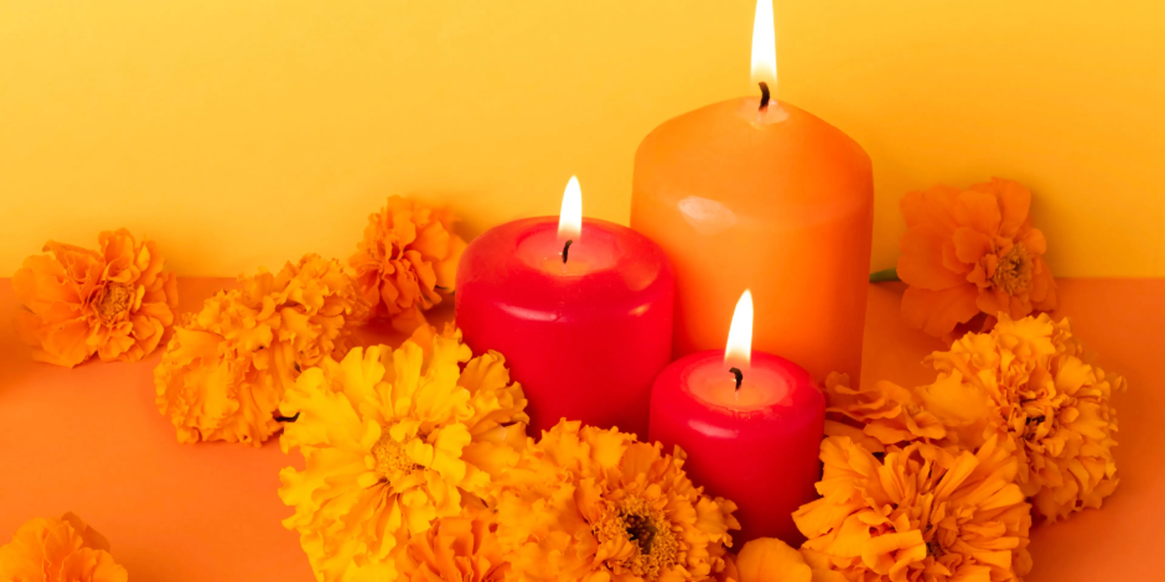 Cempasúchil chino vs mexicano