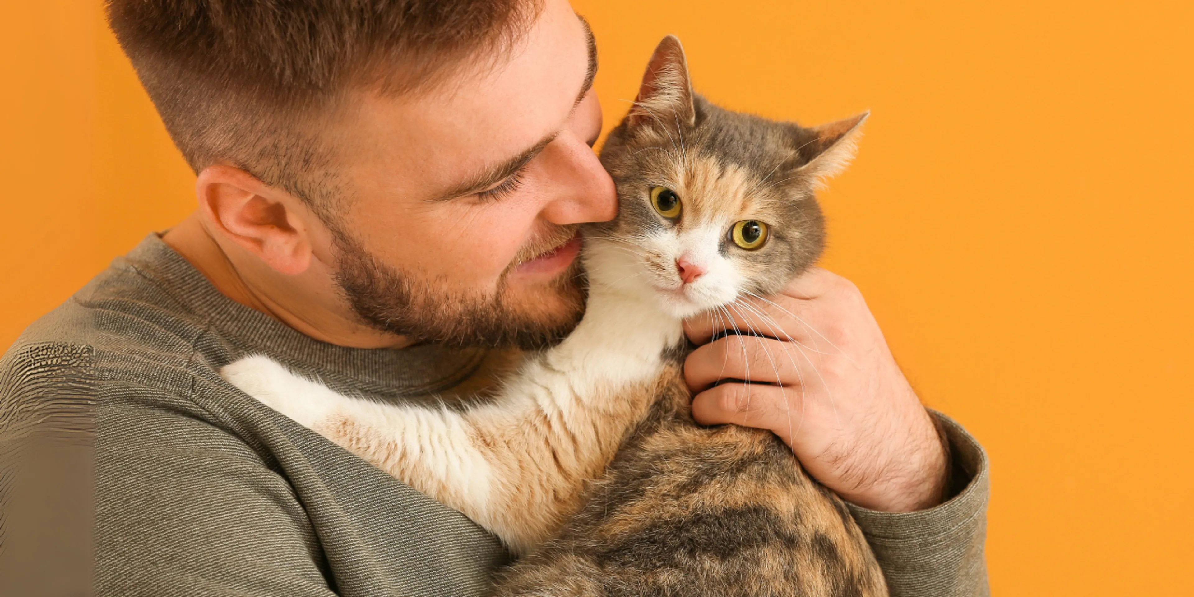 Gatos y su conexión con la felicidad