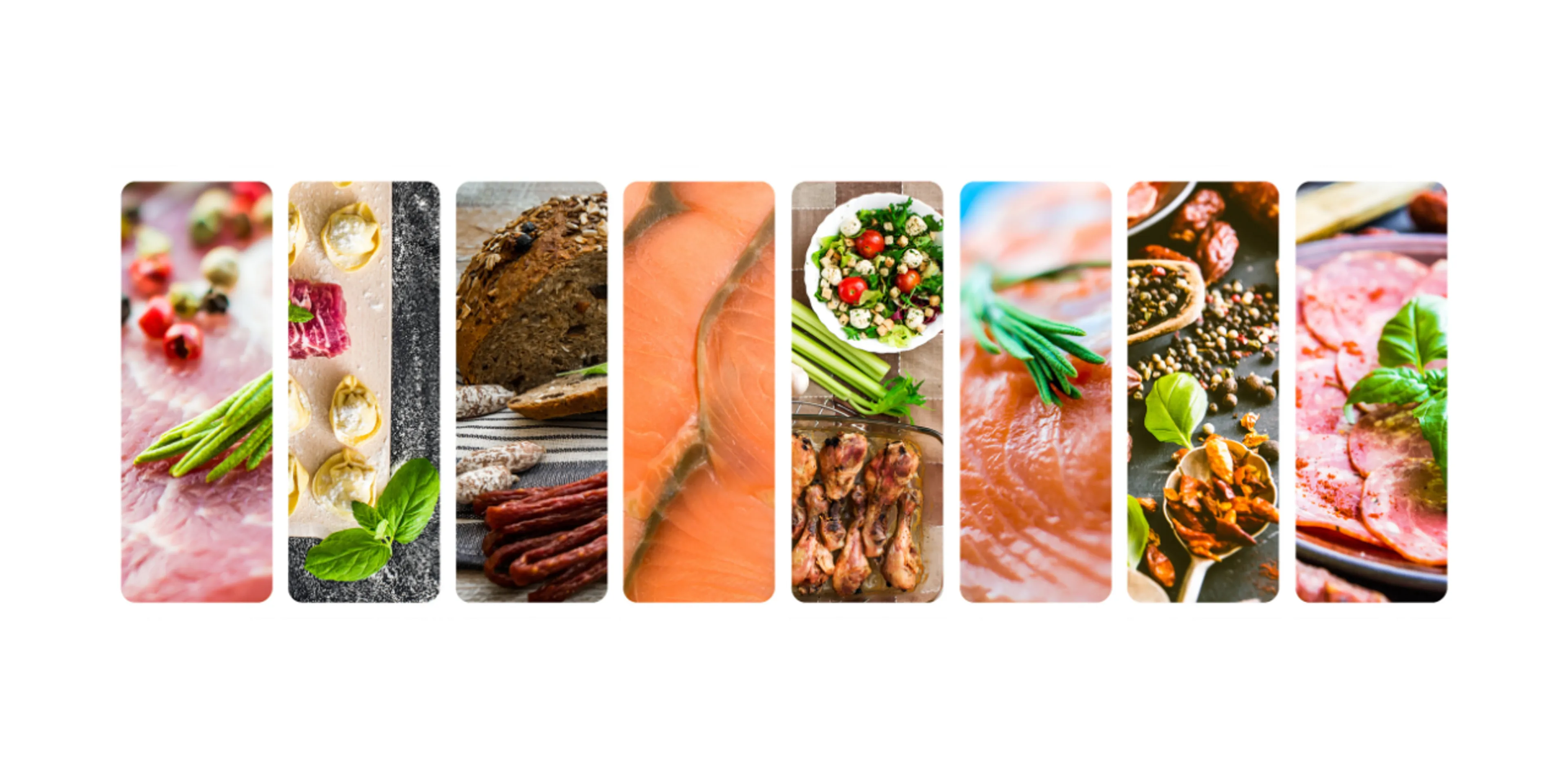 Fotos de comidas variadas