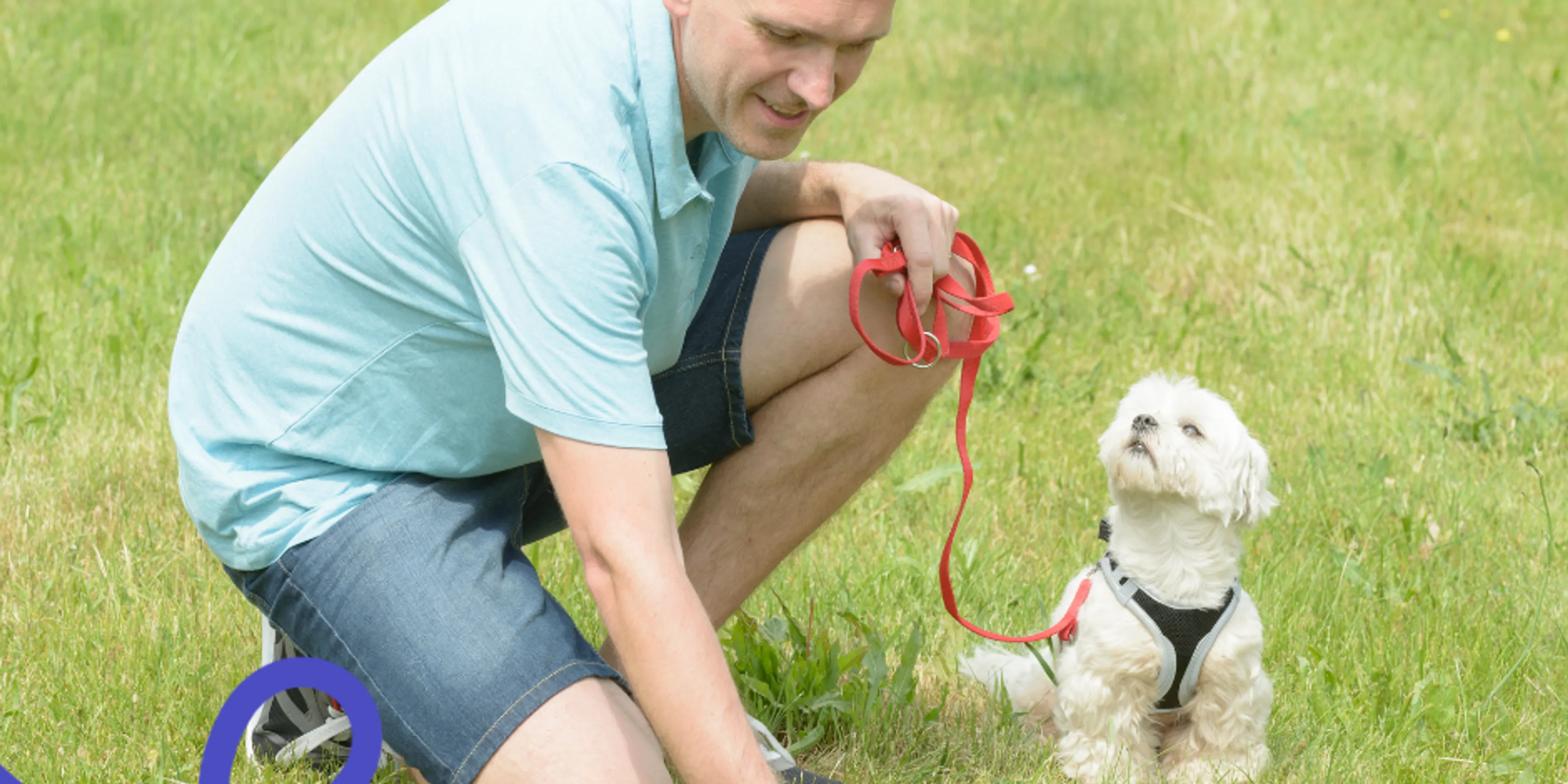Por qué los perros comen su popo