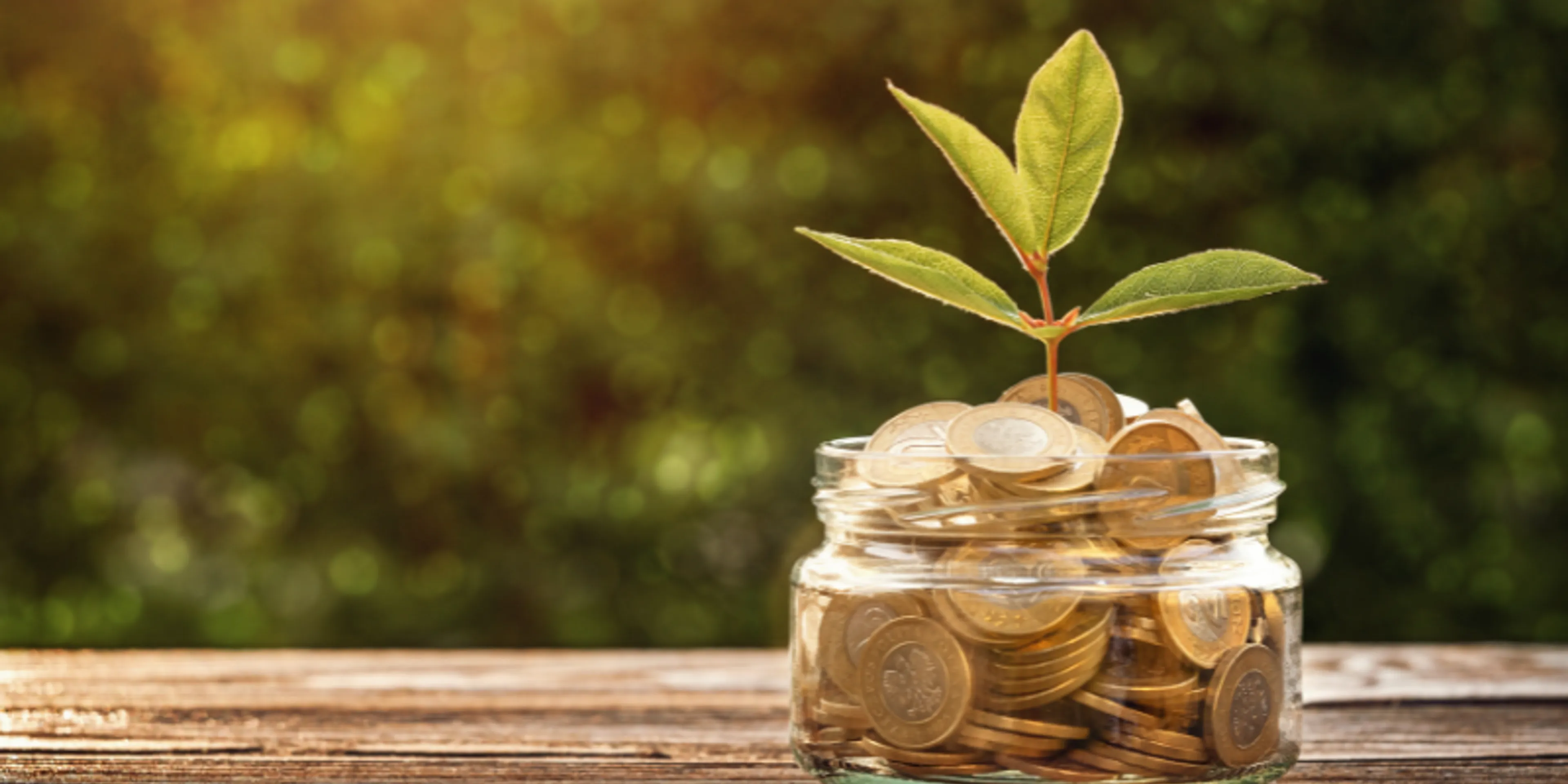 Cetes, Afores y seguros: claves para proteger tu patrimonio