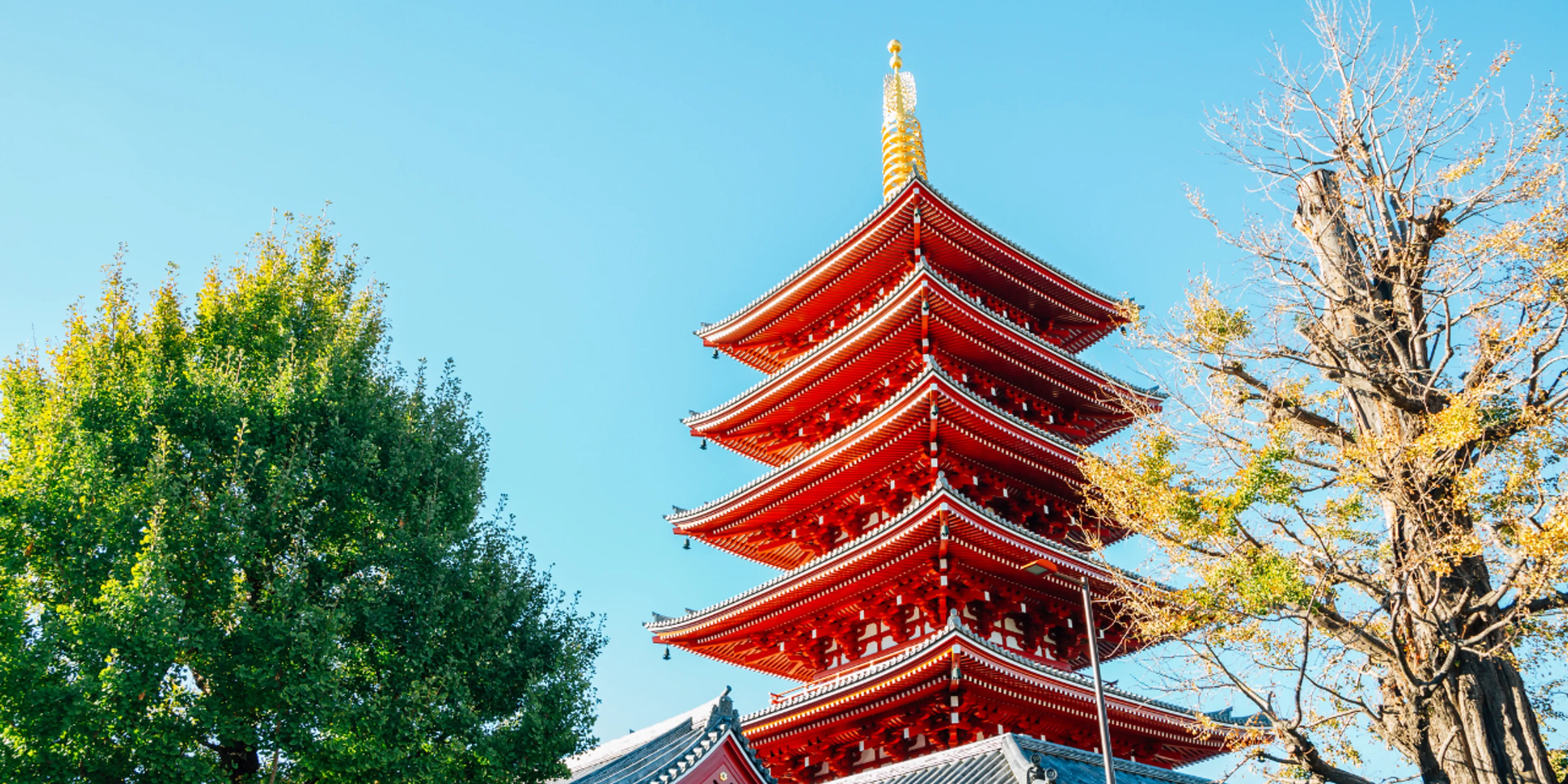 Edificio de arquitectura típica japonesa con cielo despejado de fondo