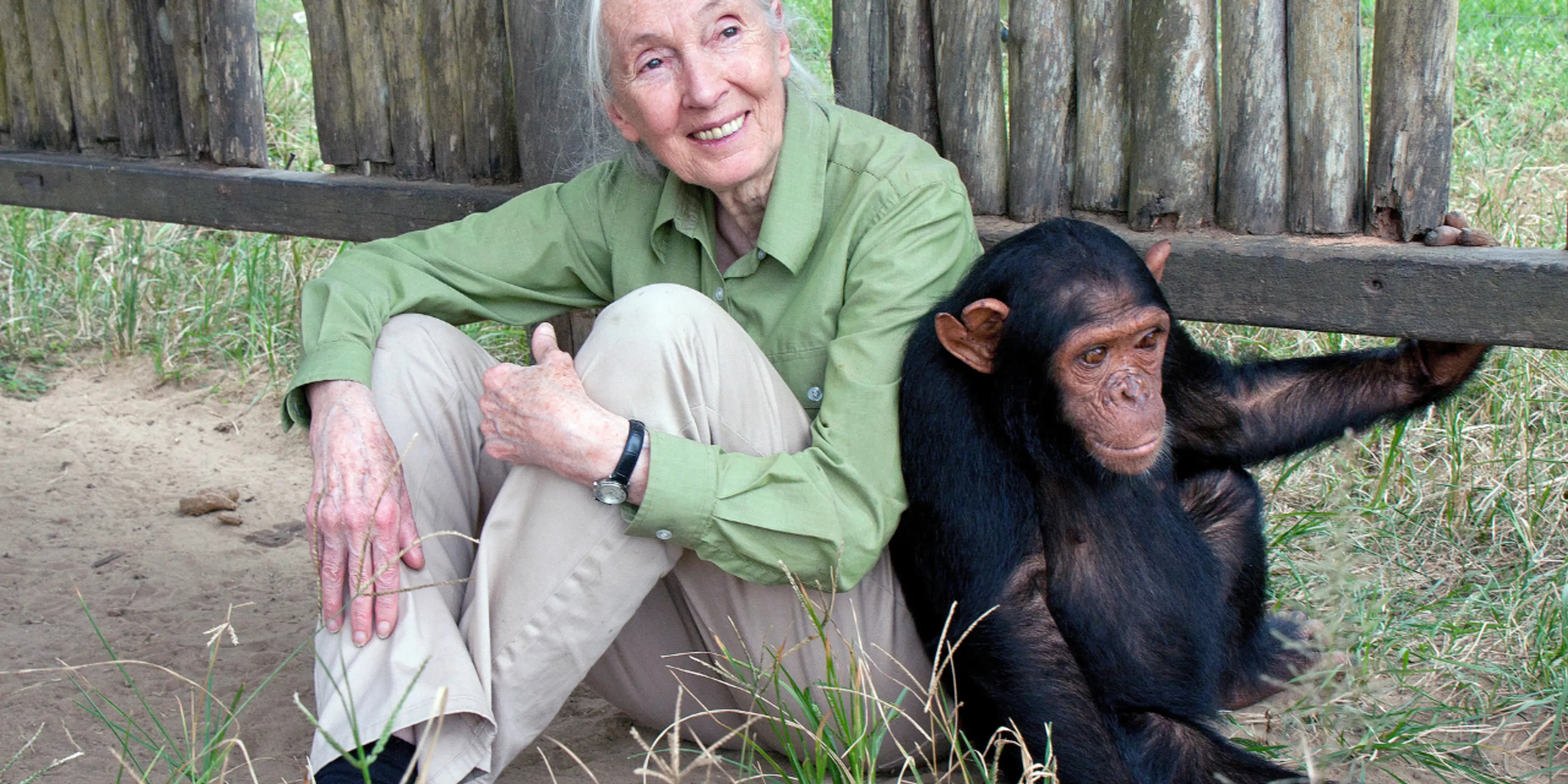Adiós a Jane Goodall, la mujer que dedicó su vida a escuchar a la naturaleza