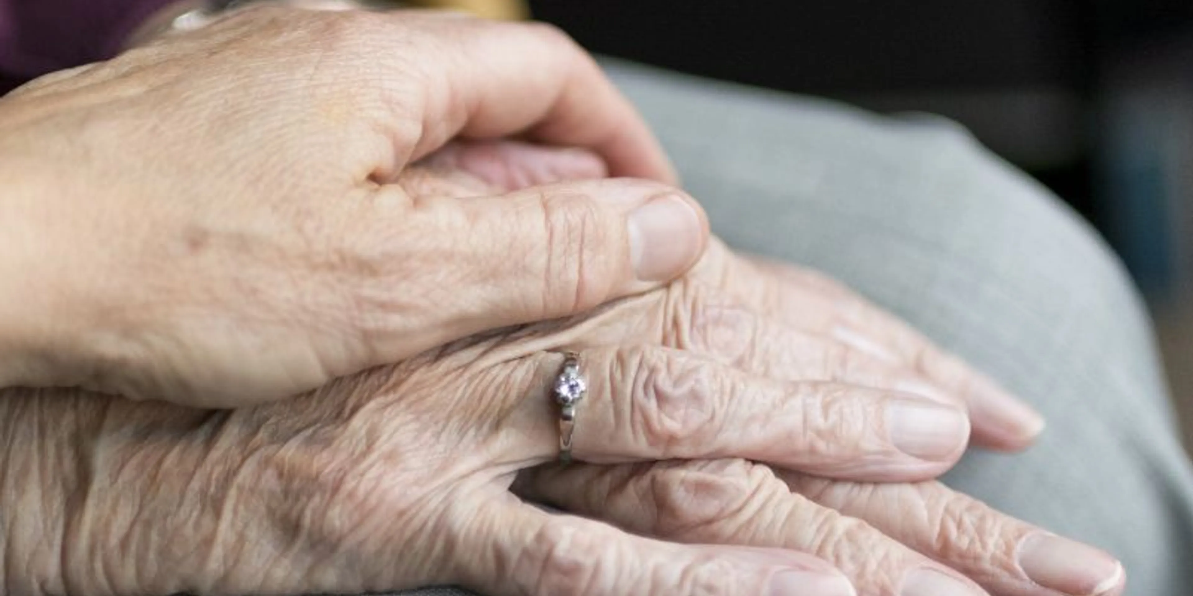 Jornada Mundial de los Mayores y Abuelos 2024