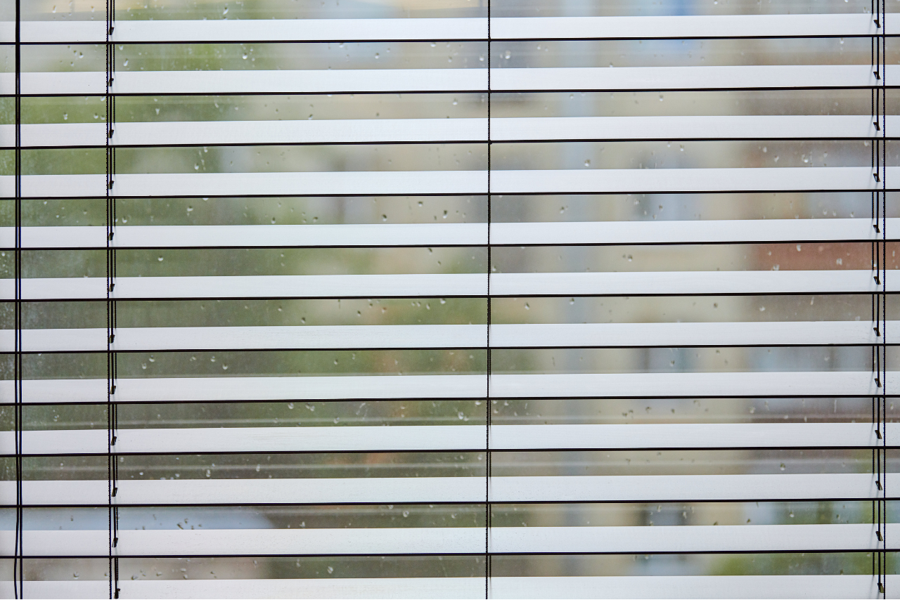 Cómo cuidar mi casa al dejarla sola y salir de vacaciones