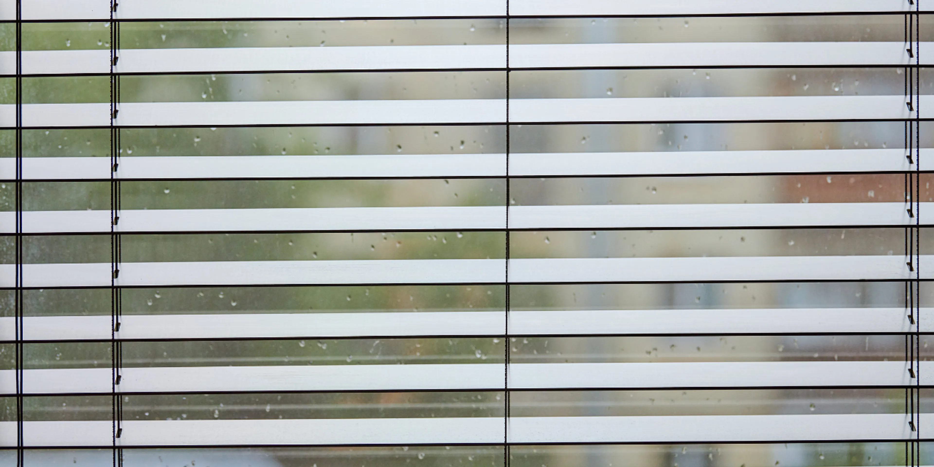 Cómo cuidar mi casa al dejarla sola y salir de vacaciones