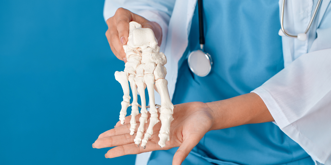 dr. moreno osteoporosis