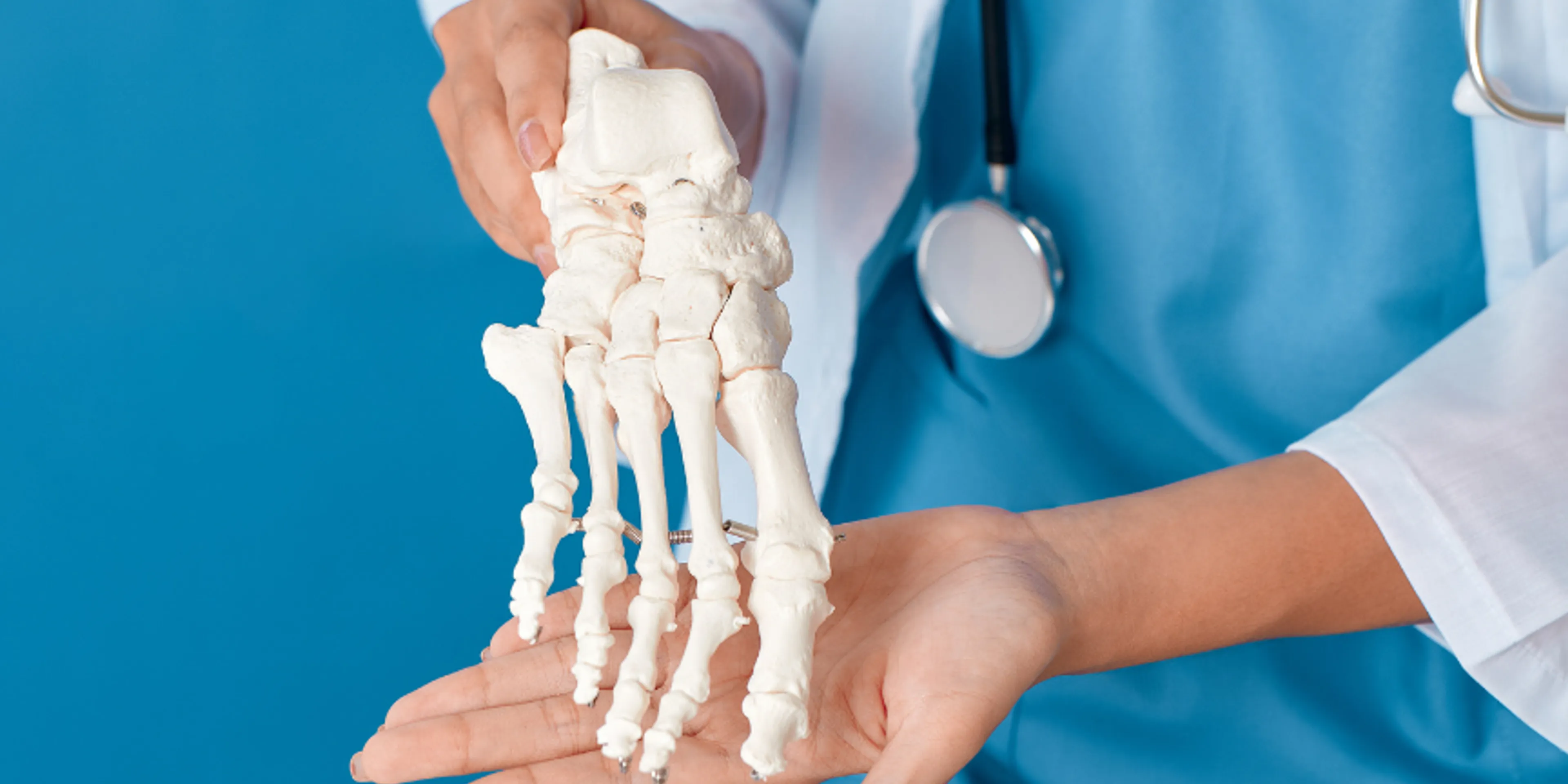 dr. moreno osteoporosis