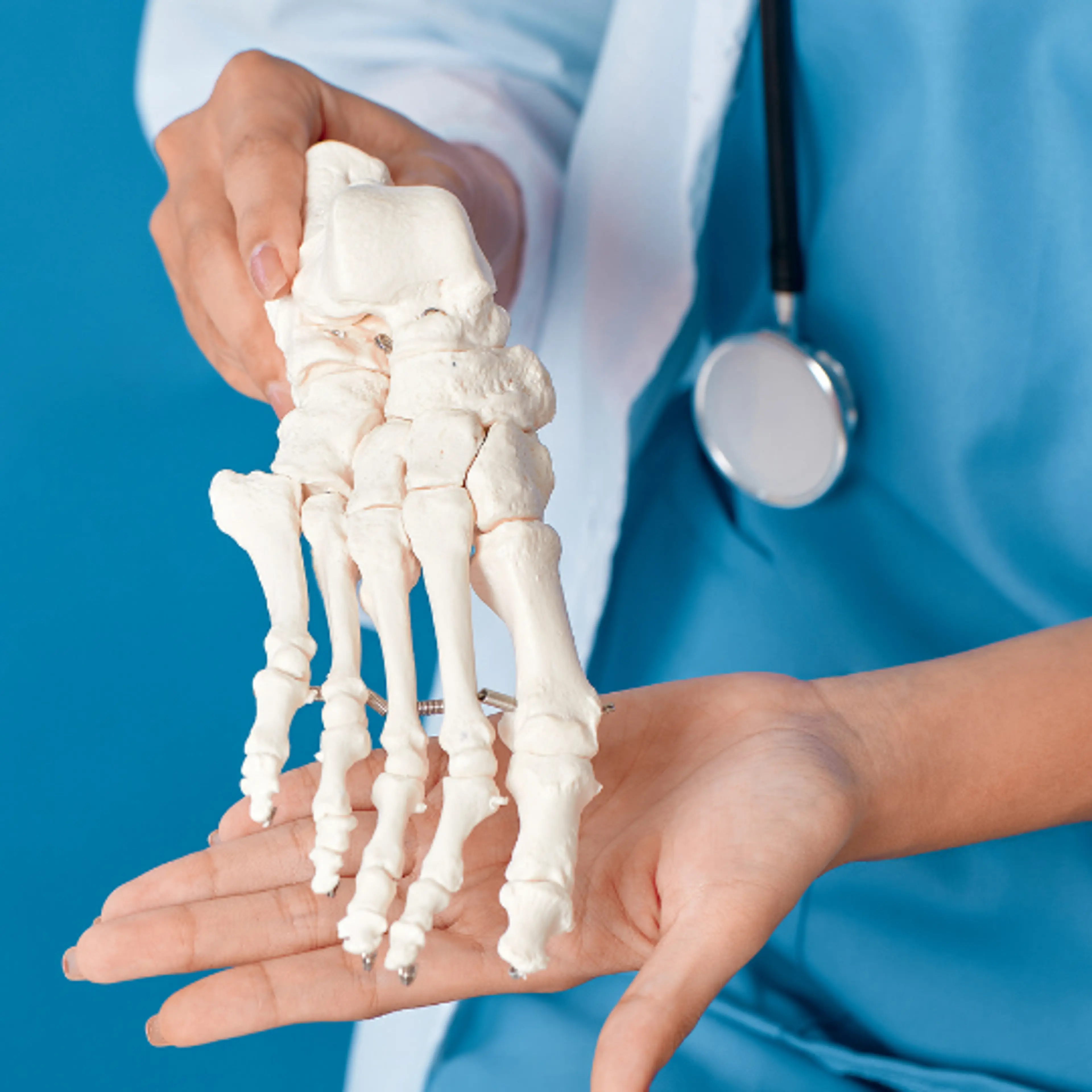 dr. moreno osteoporosis