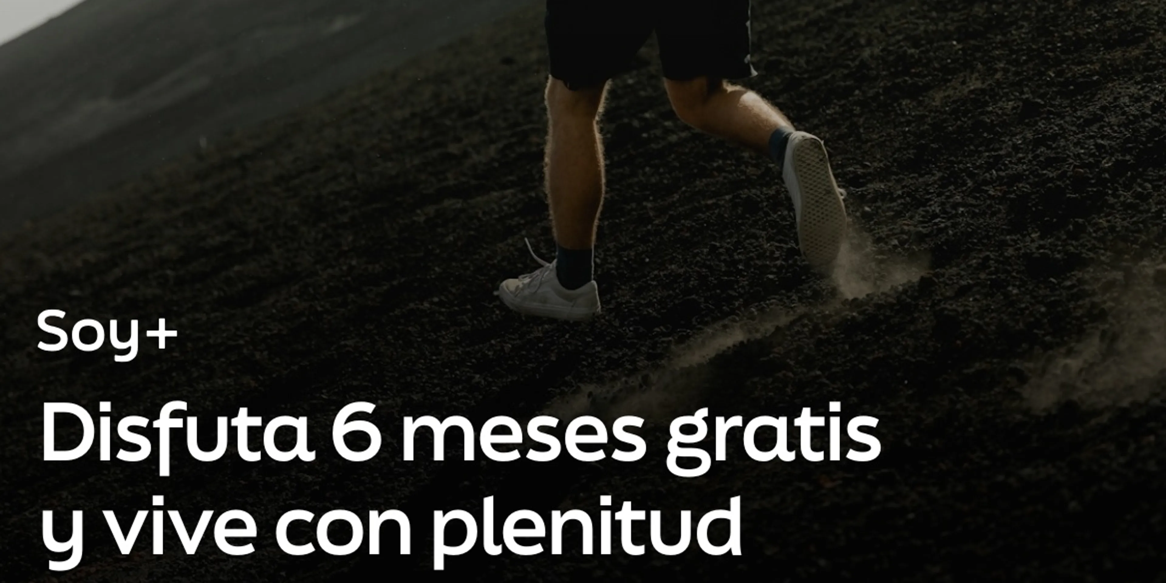 6 meses gratis