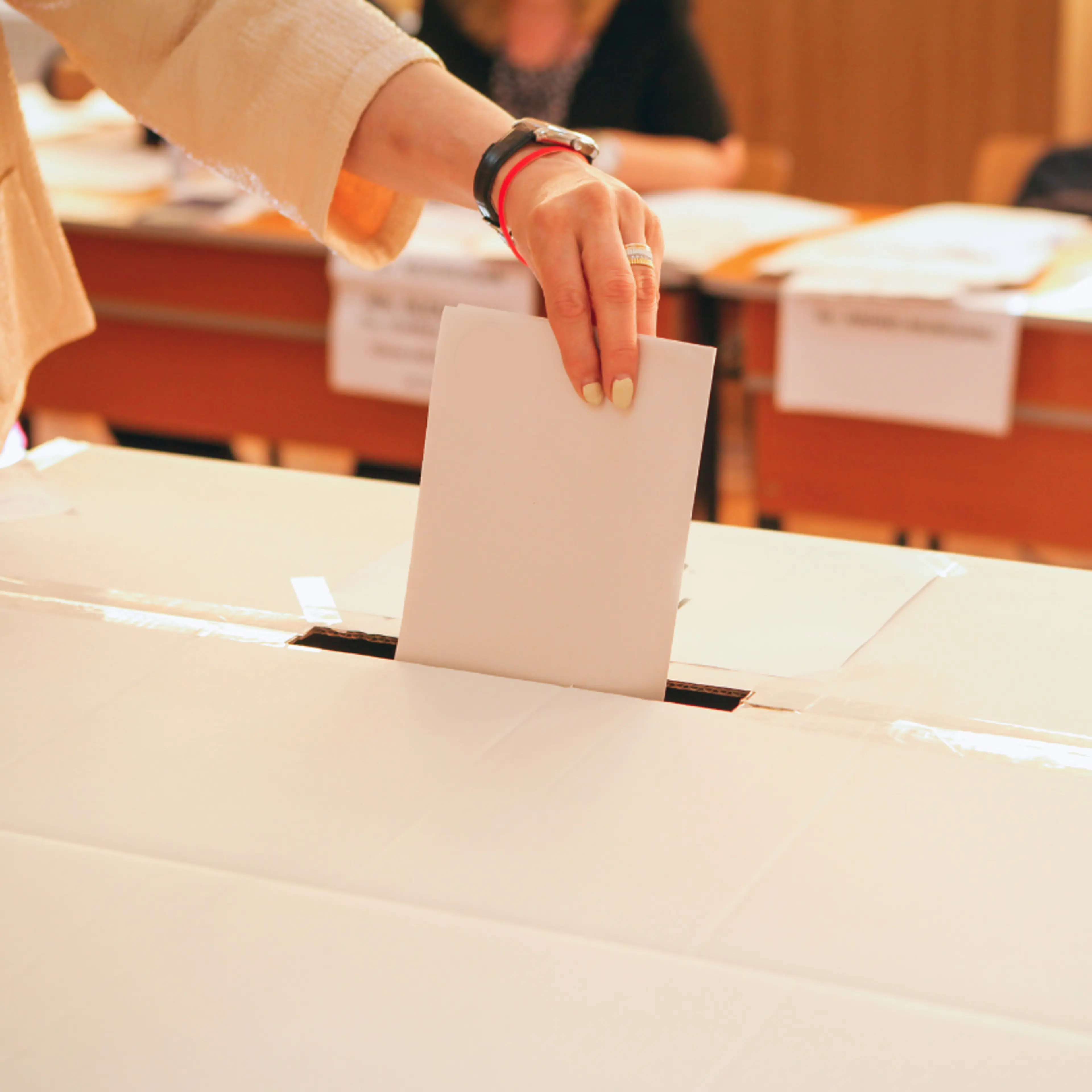 demográfico mayor votaciones