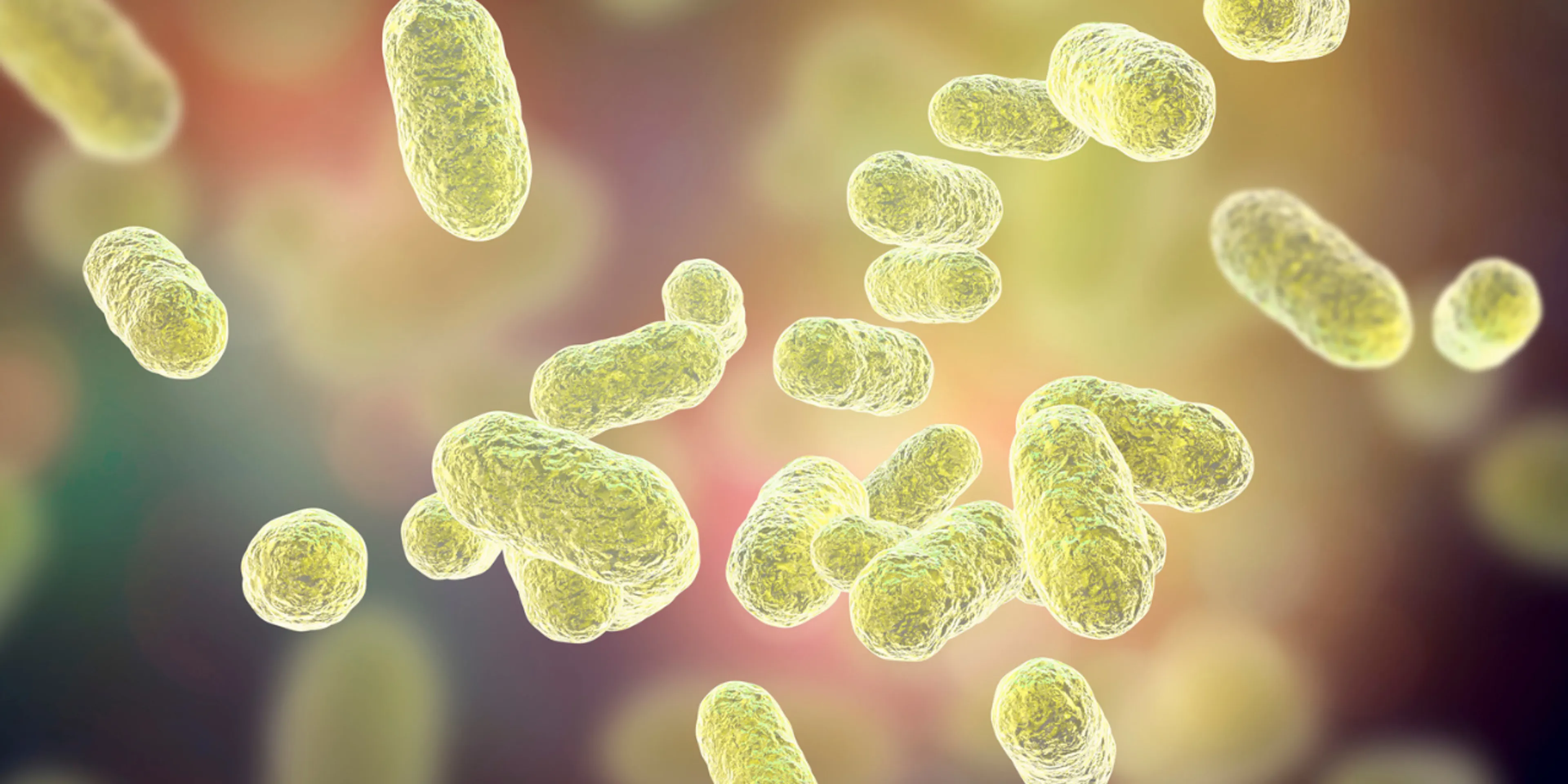 El poder de la microbiota y sus neuronas