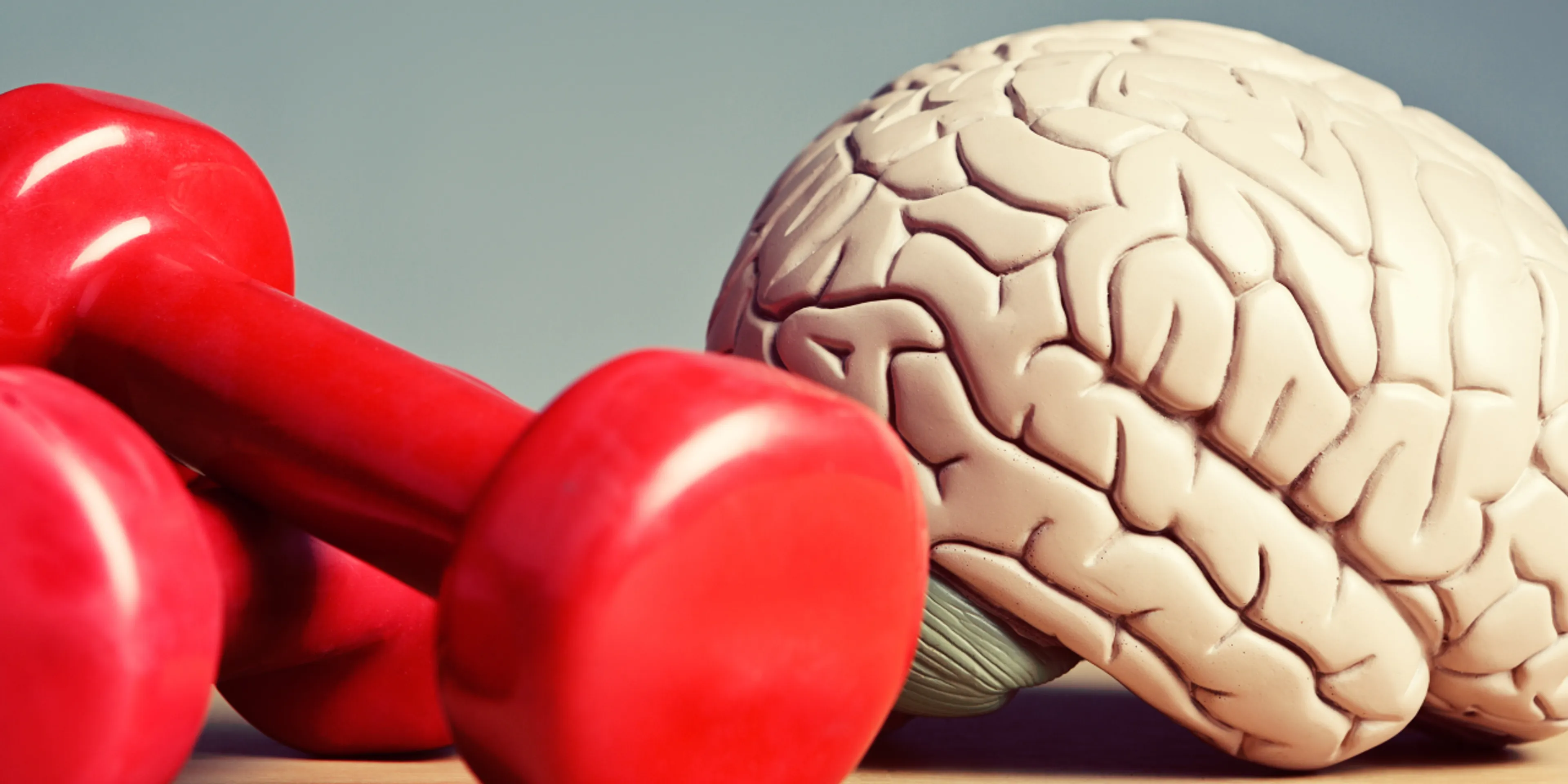 Cómo ejercitar el cerebro al hablar