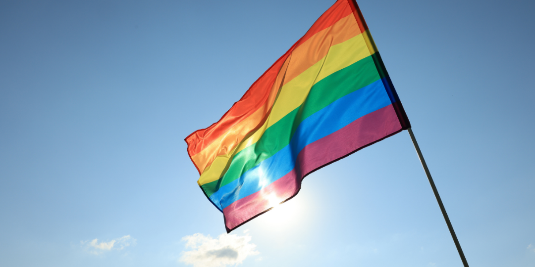 aliado lgbt+