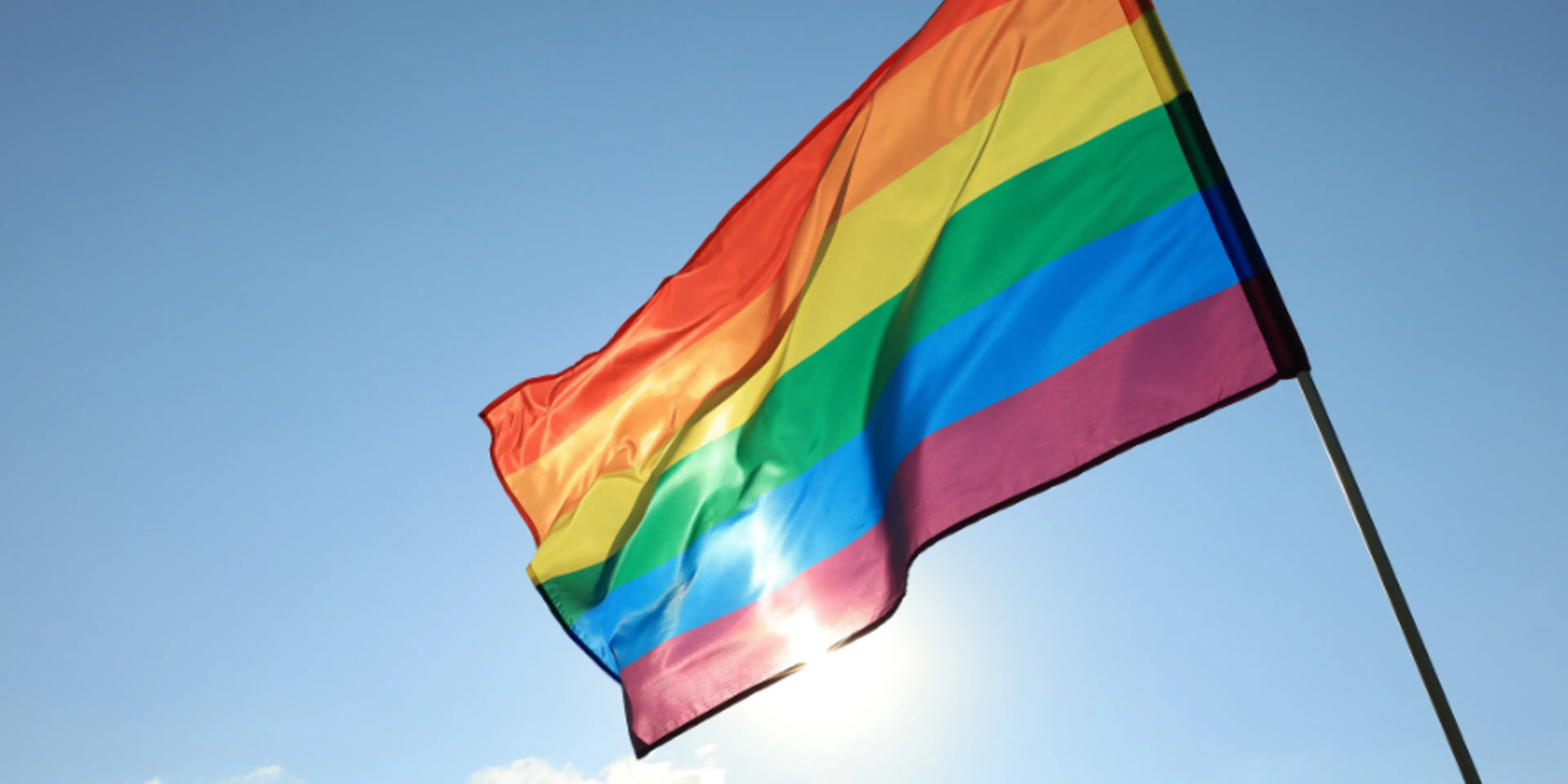 aliado lgbt+