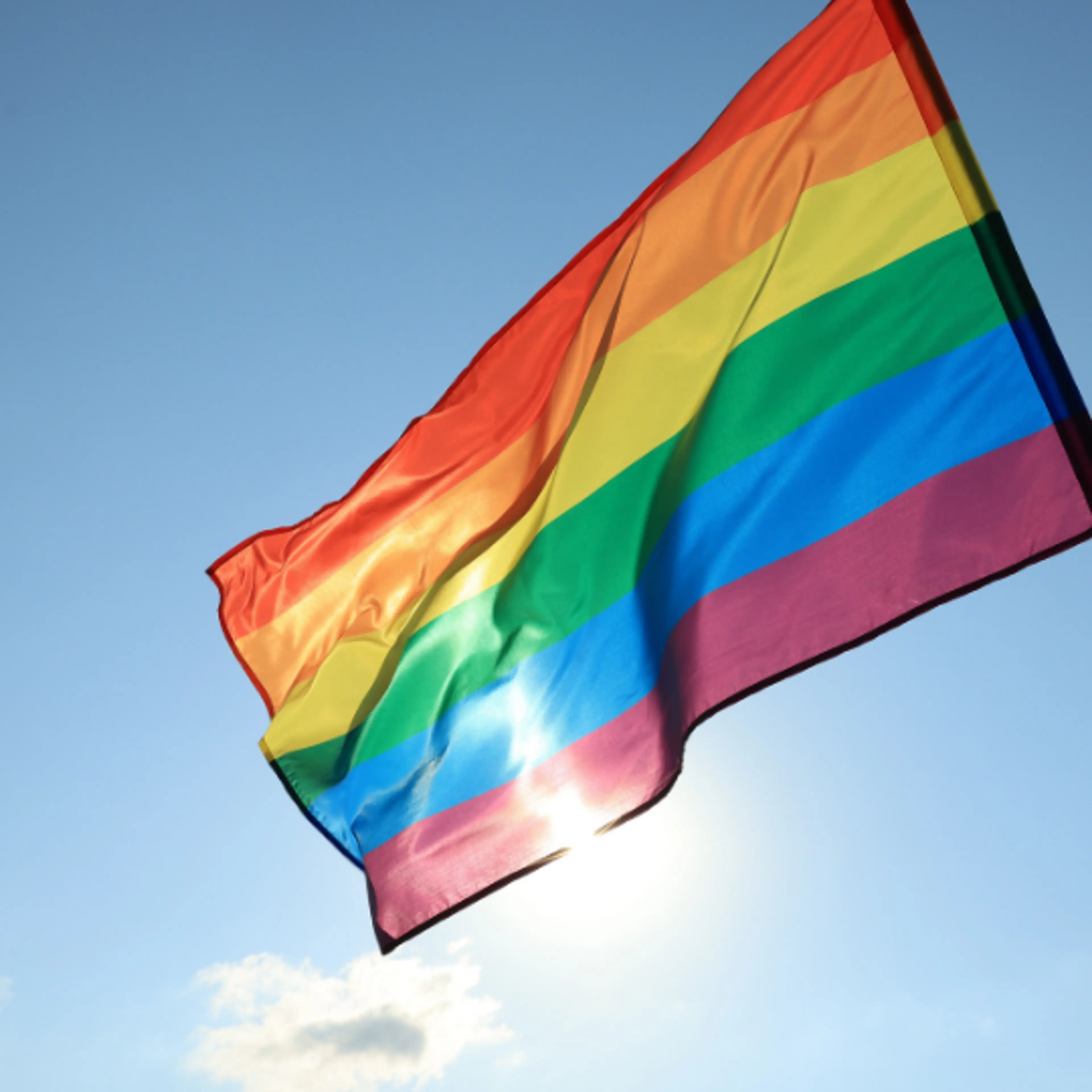 aliado lgbt+