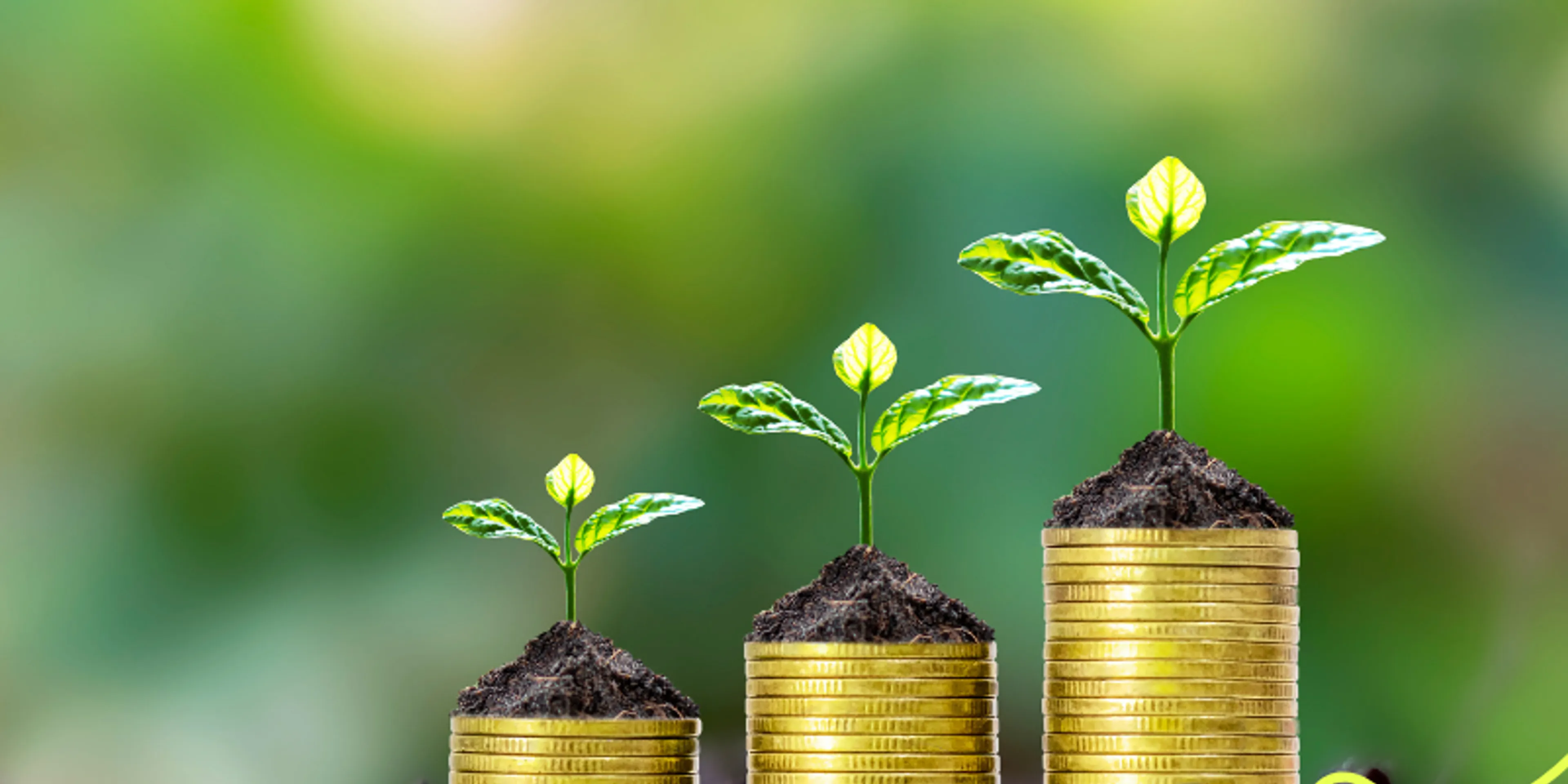 Fecha de pagos pensión Bienestar septiembre 2024