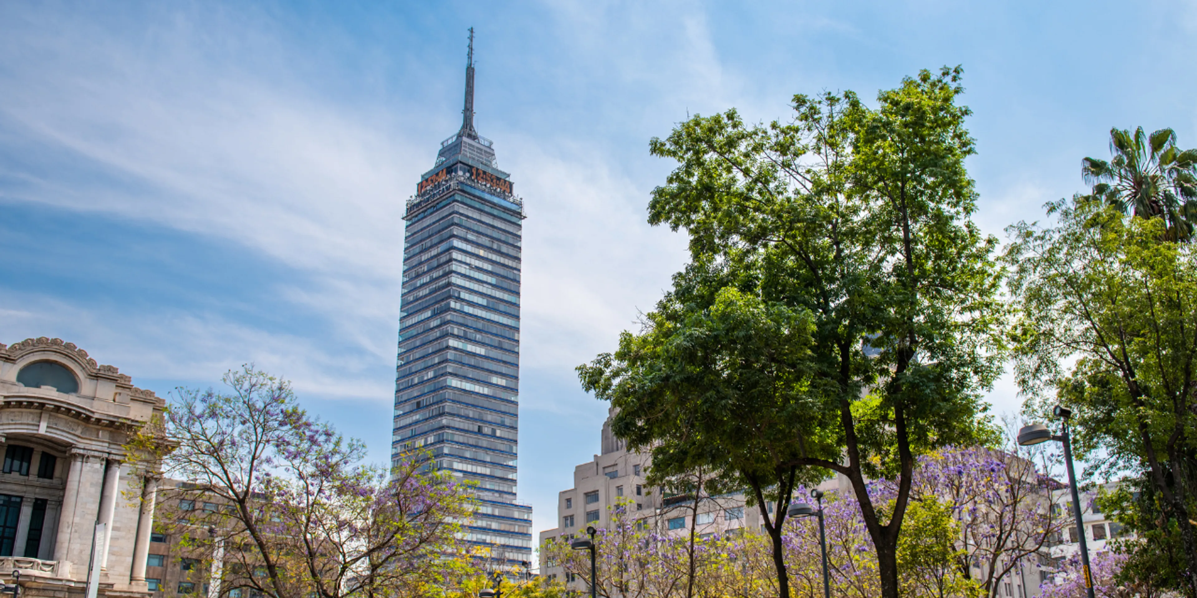 Itinerario de bajo costo para recargar energía el domingo en la CDMX