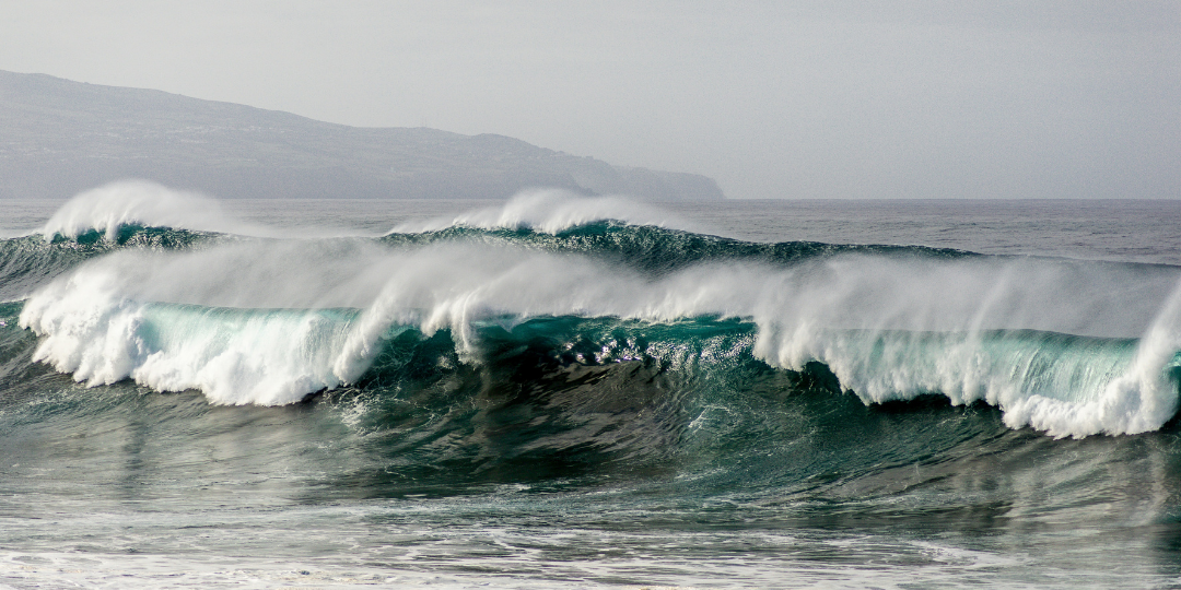 Olas